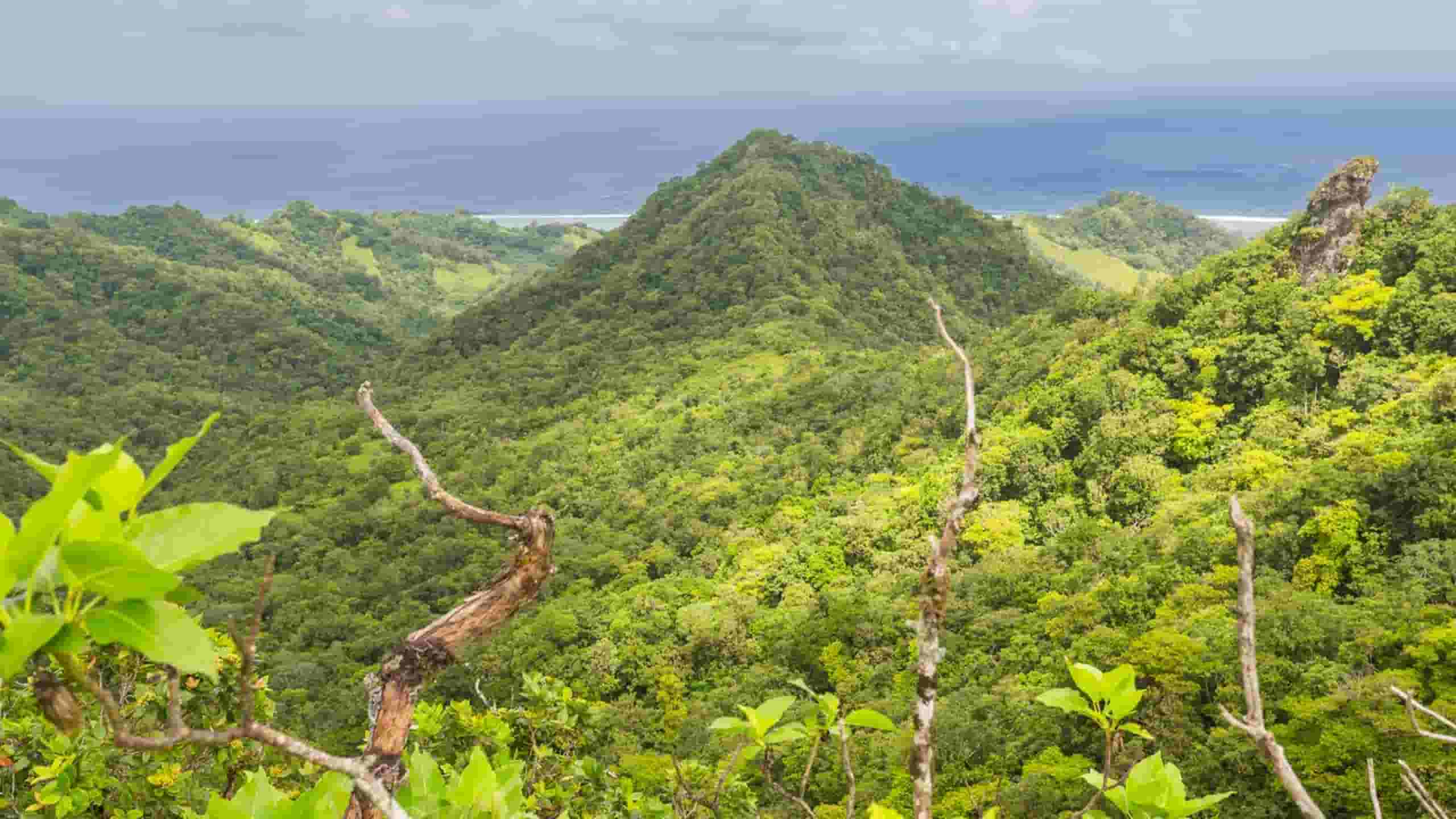 Book flights from Auckland to Cook Islands