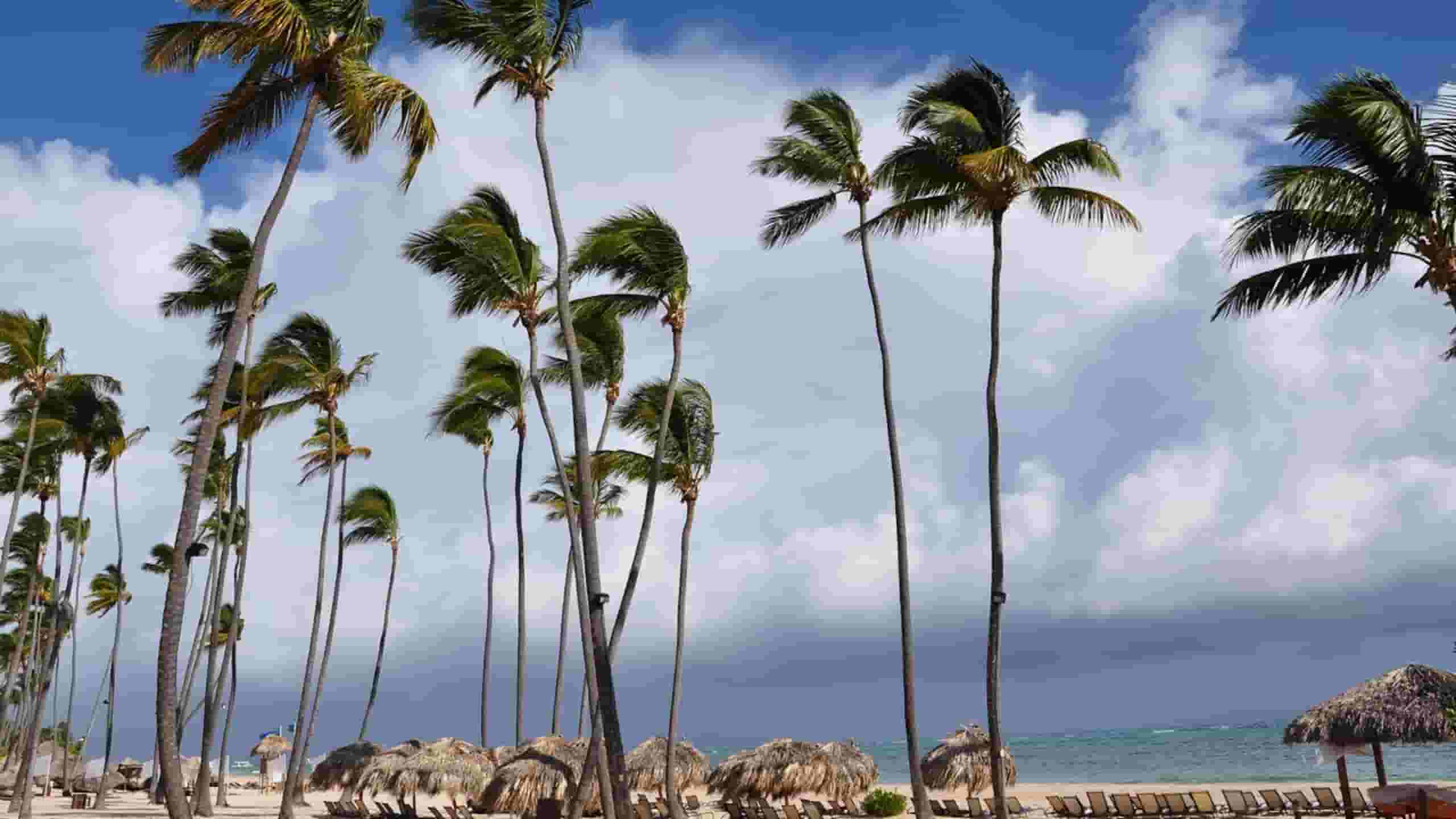 Book flights from Toronto, ON to Jamaica