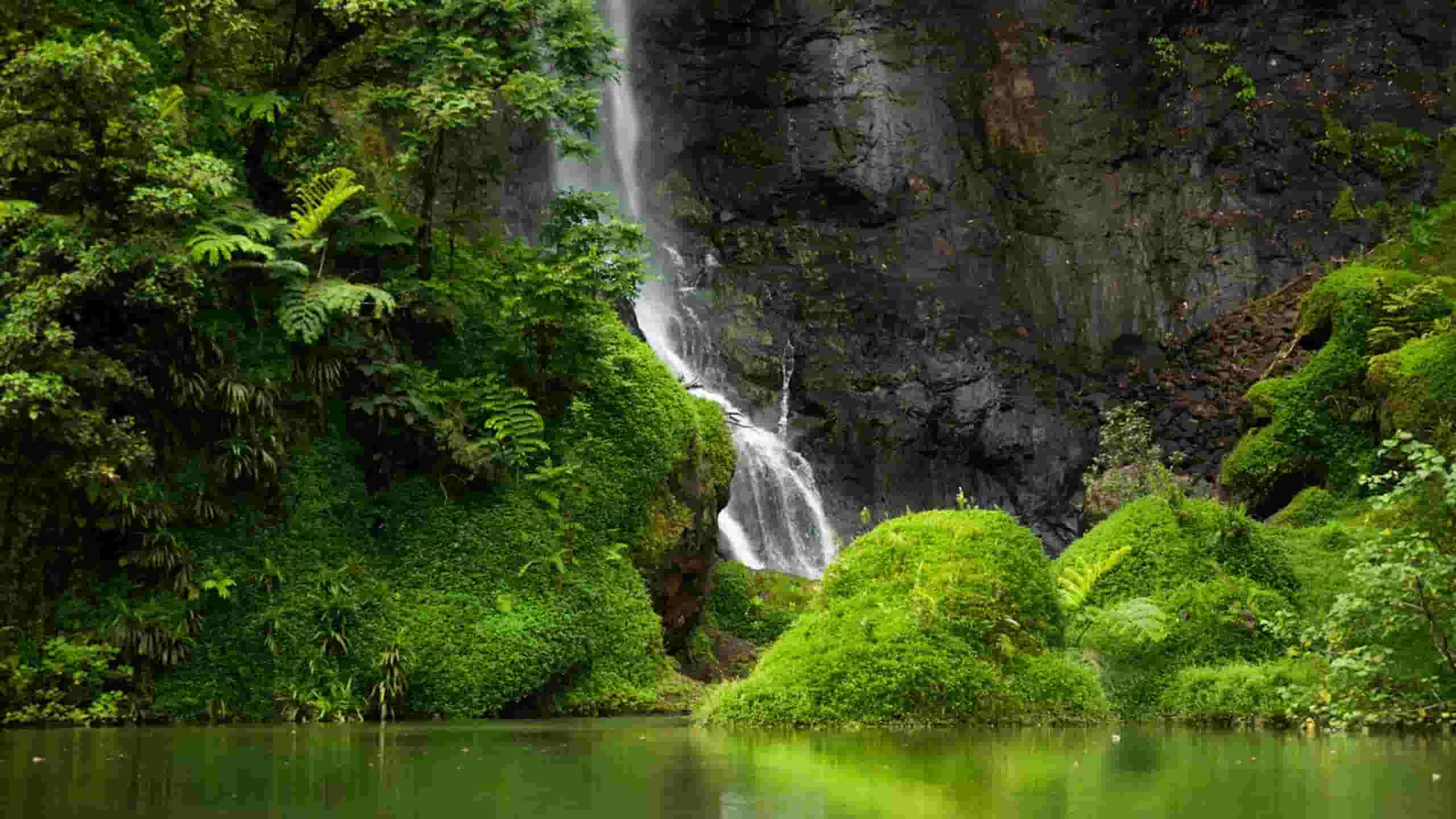 Book flyrejser Fra København til Fransk Polynesien