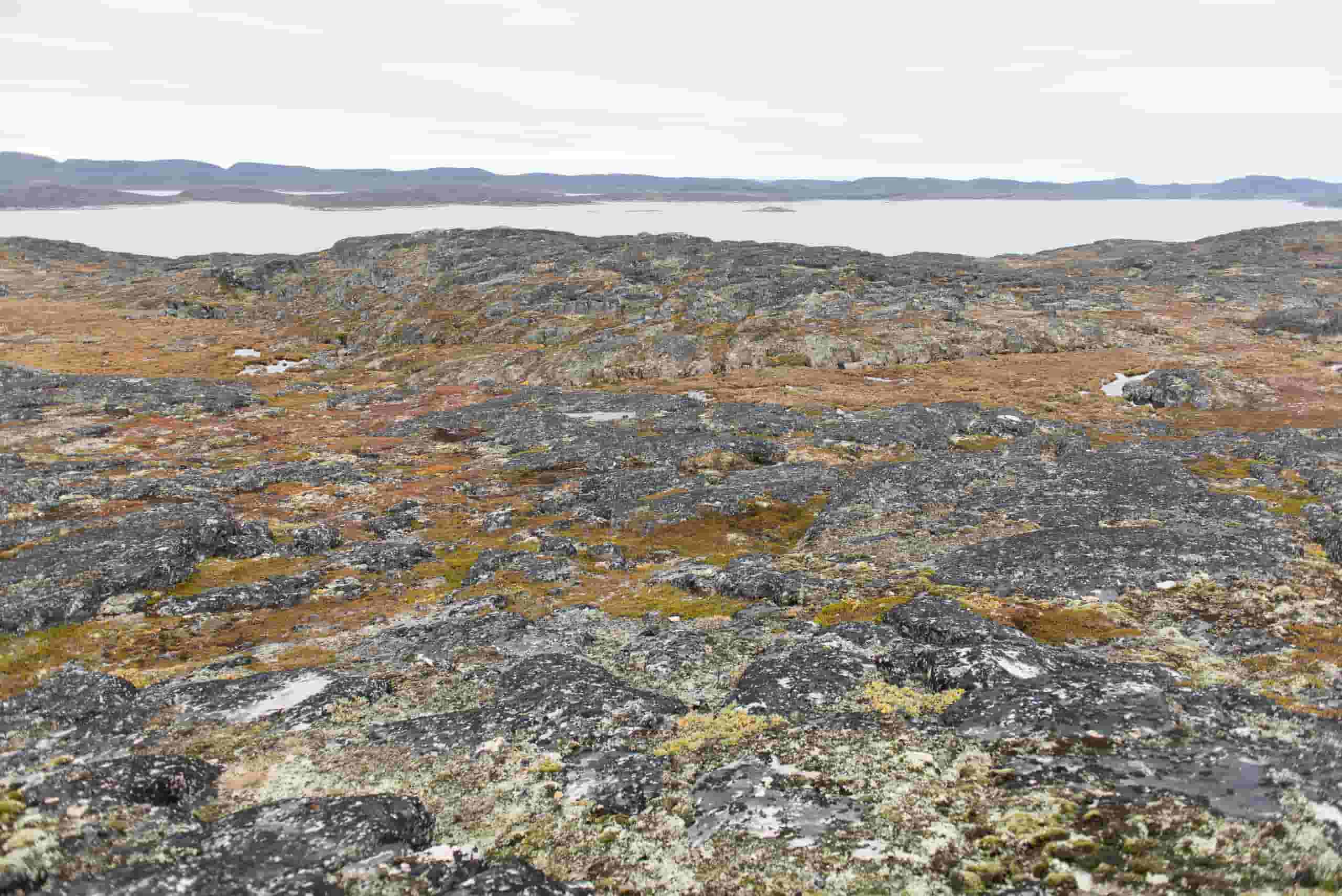 Wyszukaj tanie loty to Aasiaat