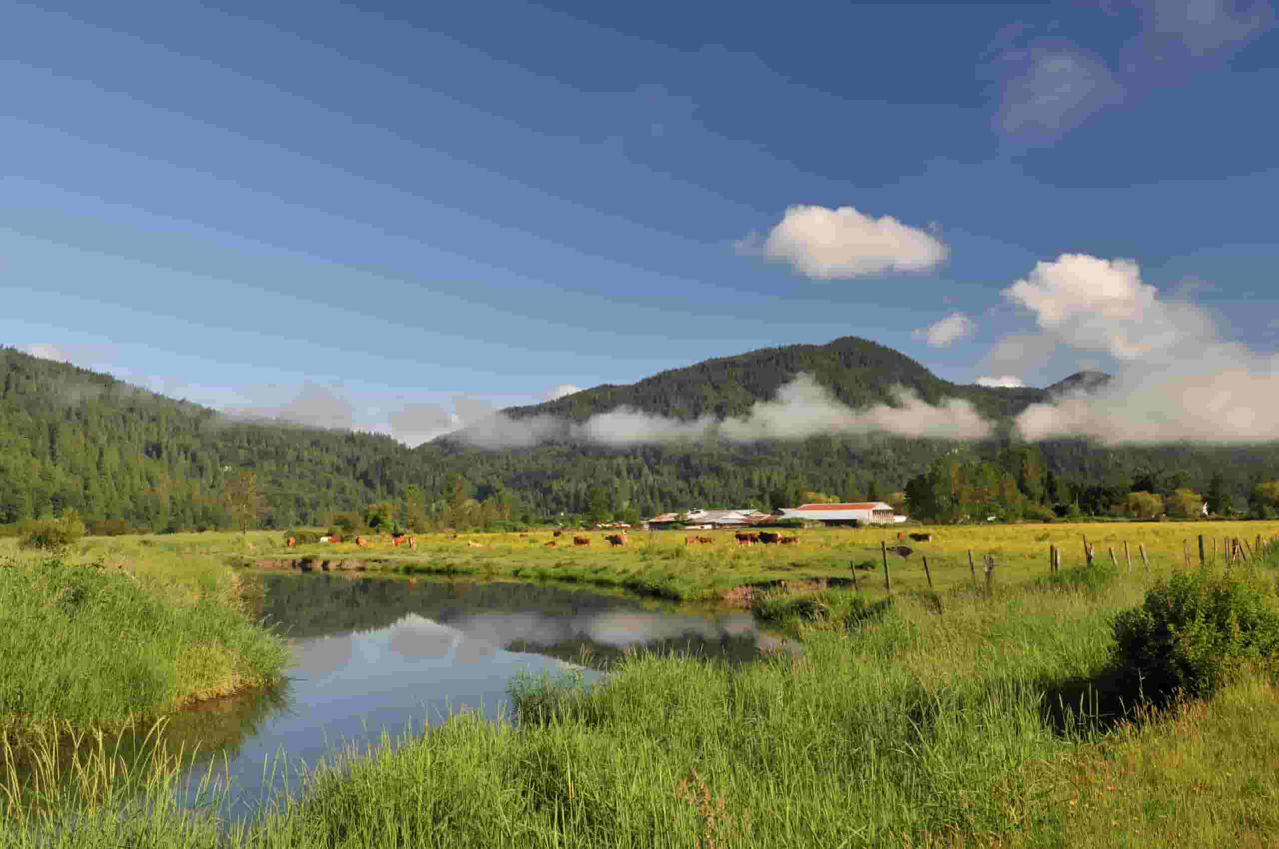 Find cheap flights to Abbotsford