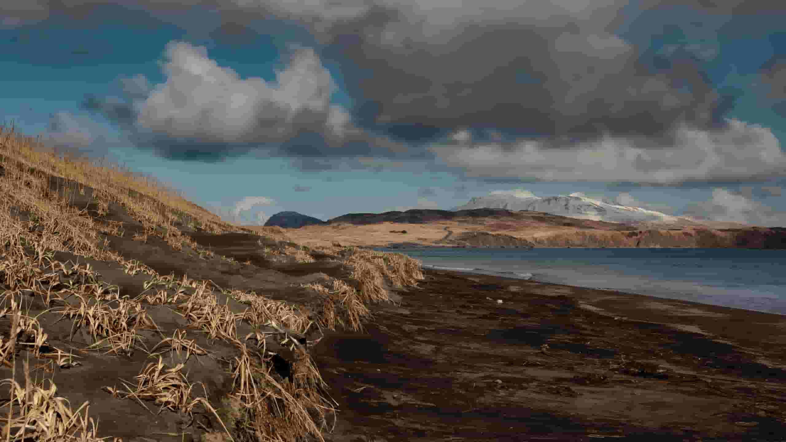 Trova voli economici per Isola di Adak