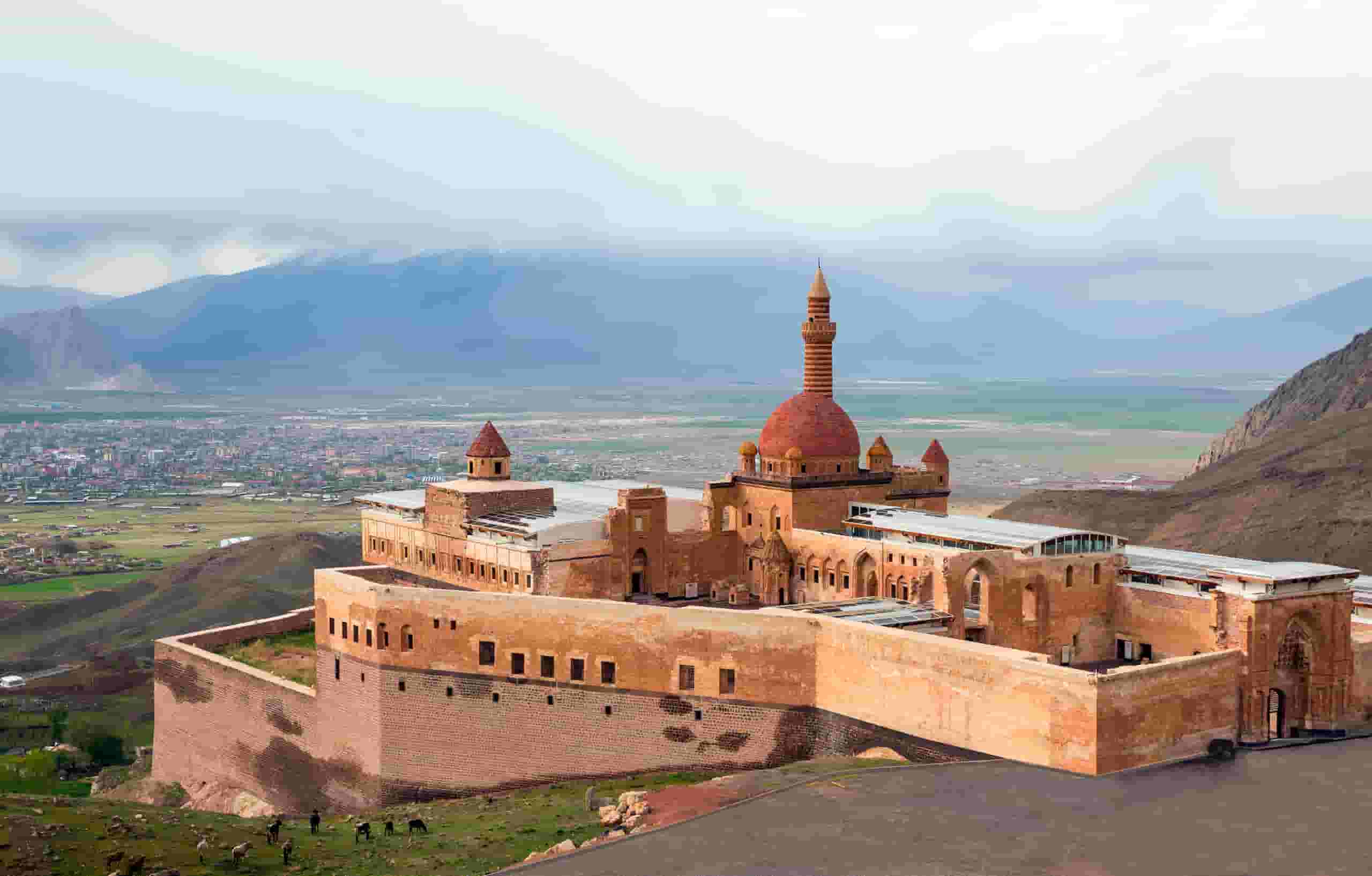 アール行きの格安航空券を検索