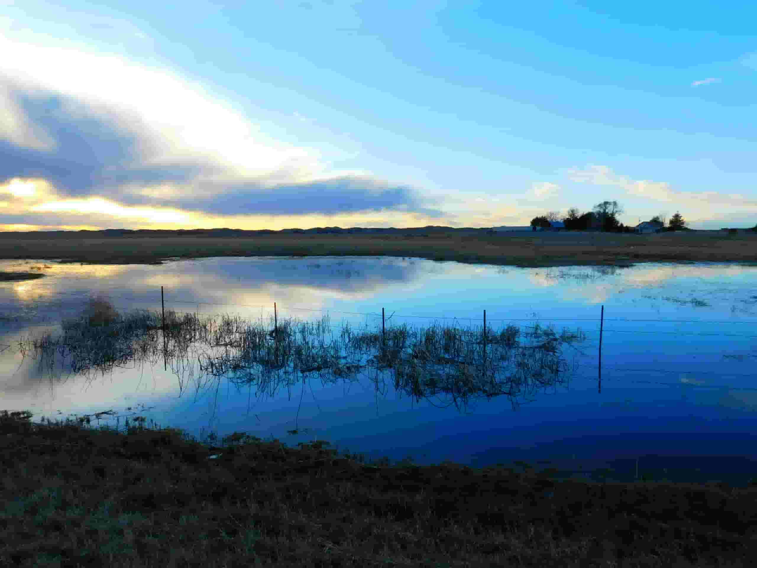 Trova voli economici to Alliance