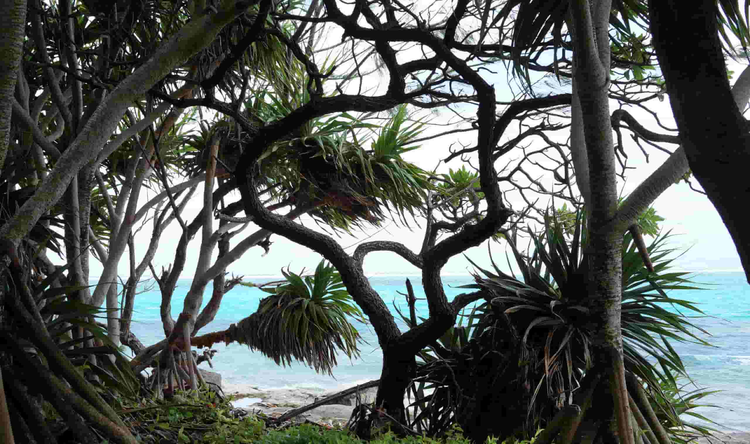 Find cheap flights to Aneityum