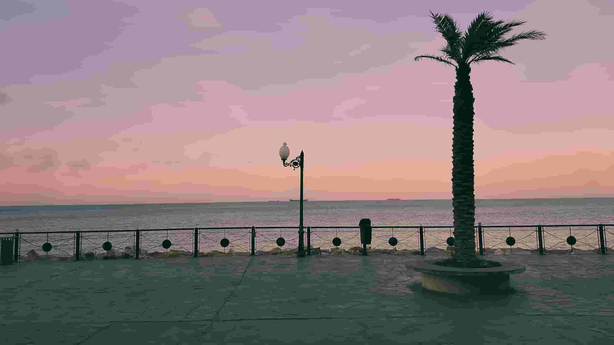 查找 到安纳巴 的低价机票