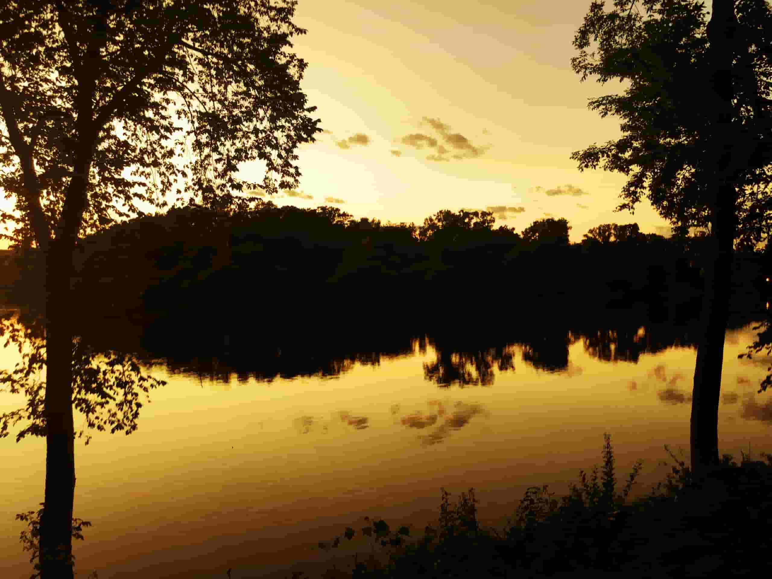 Find billige flyrejser to Appleton fra 1,382 kr