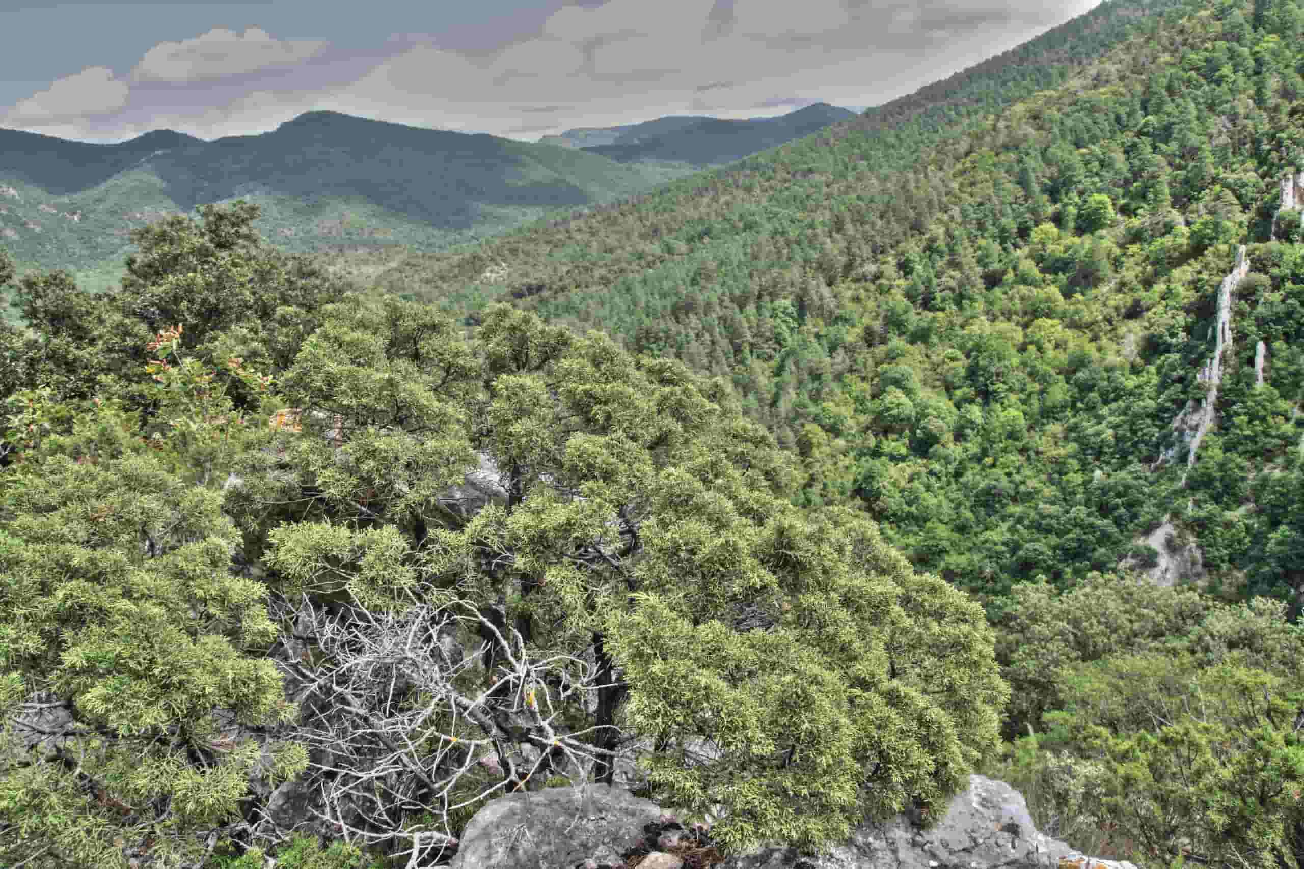 Trouvez des vols à prix mini vers Arar