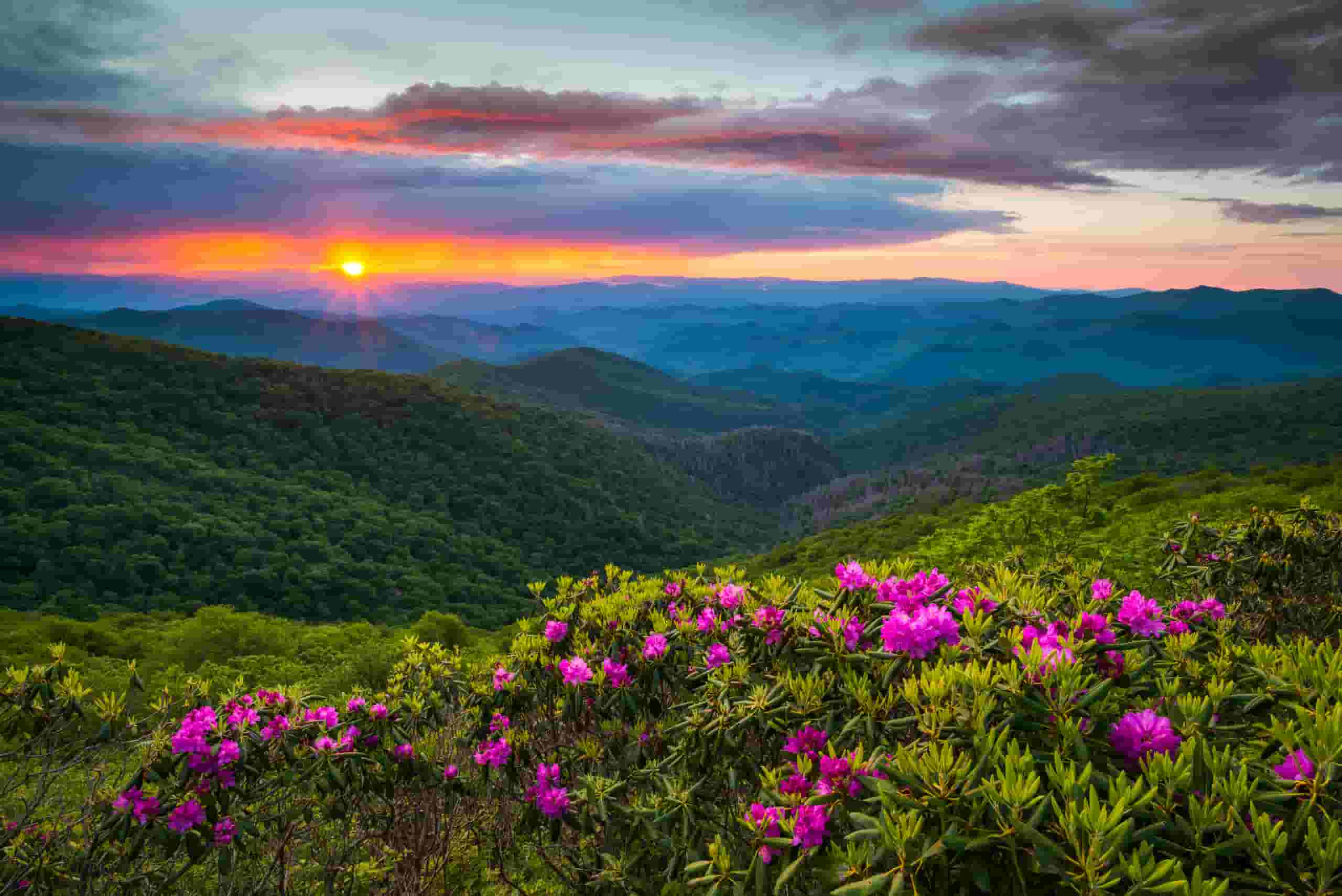 Find cheap flights to Asheville