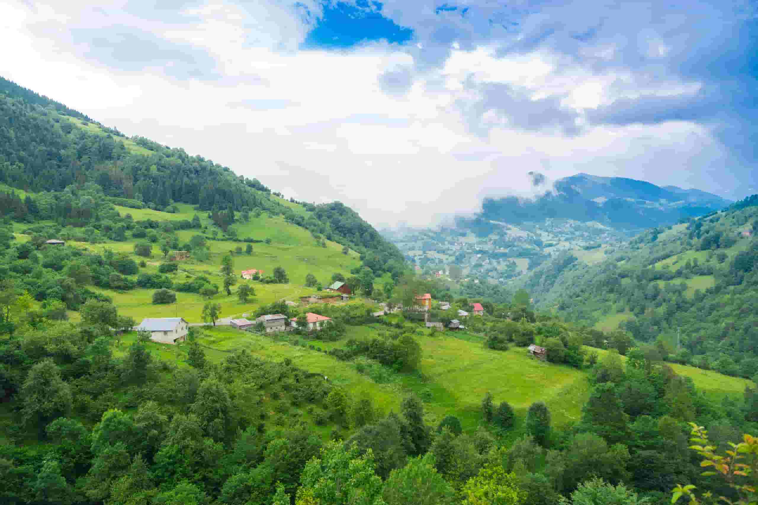 Trova voli economici to Bahía Drake