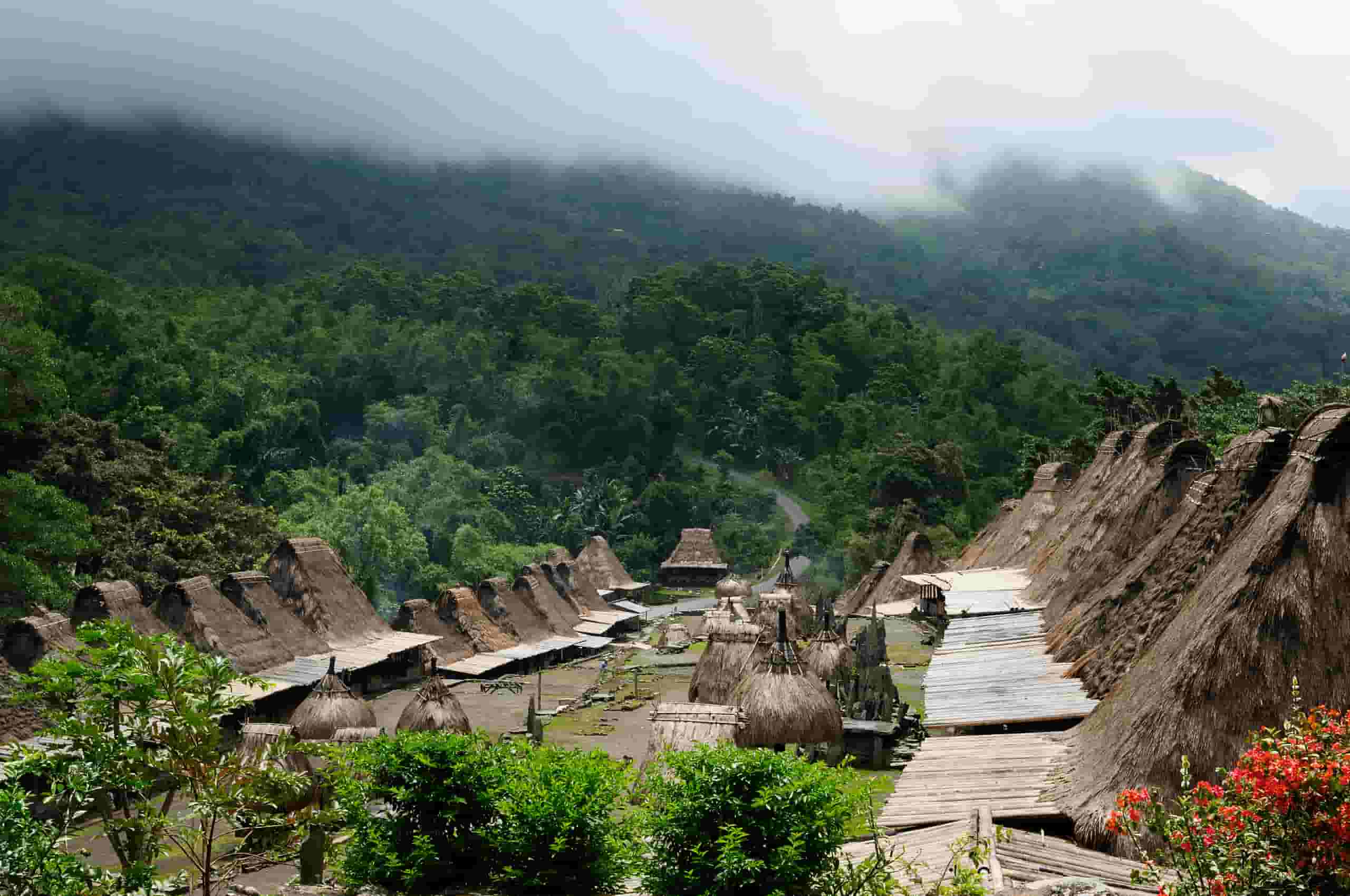 Pronađite jeftine letove to Bajawa