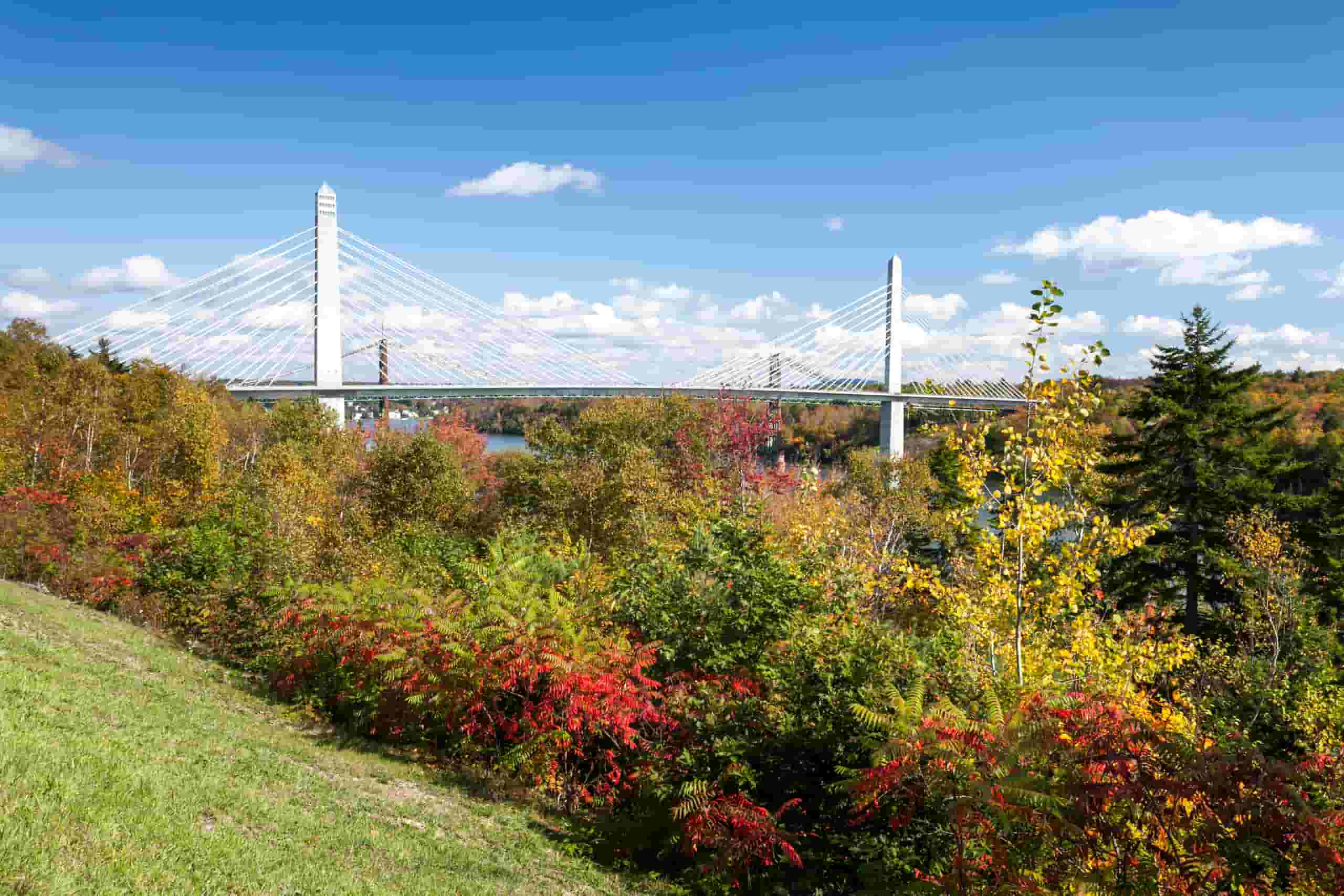 Find cheap flights to Bangor from CA$178