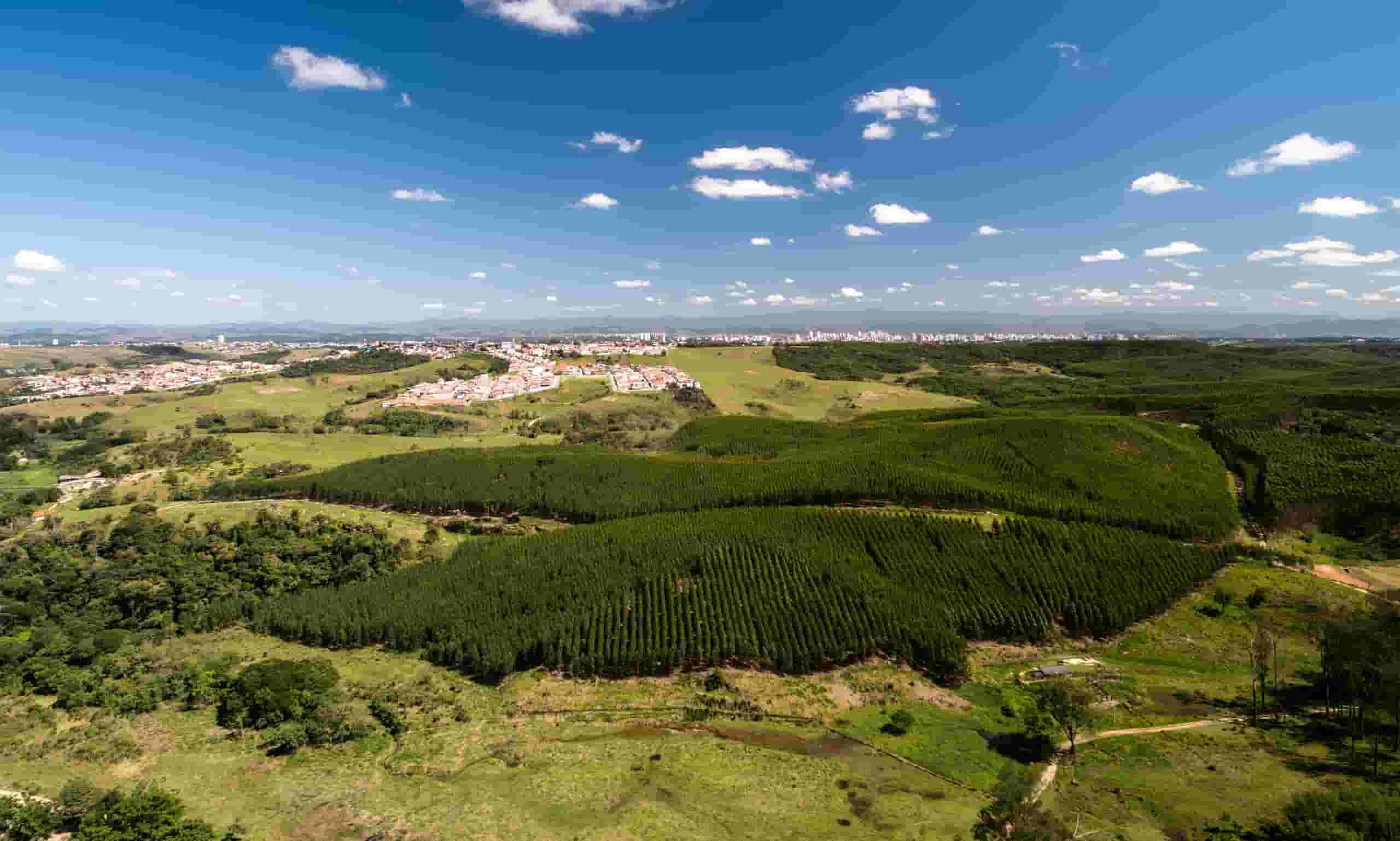 Finden Sie günstige Flüge nach Bauru