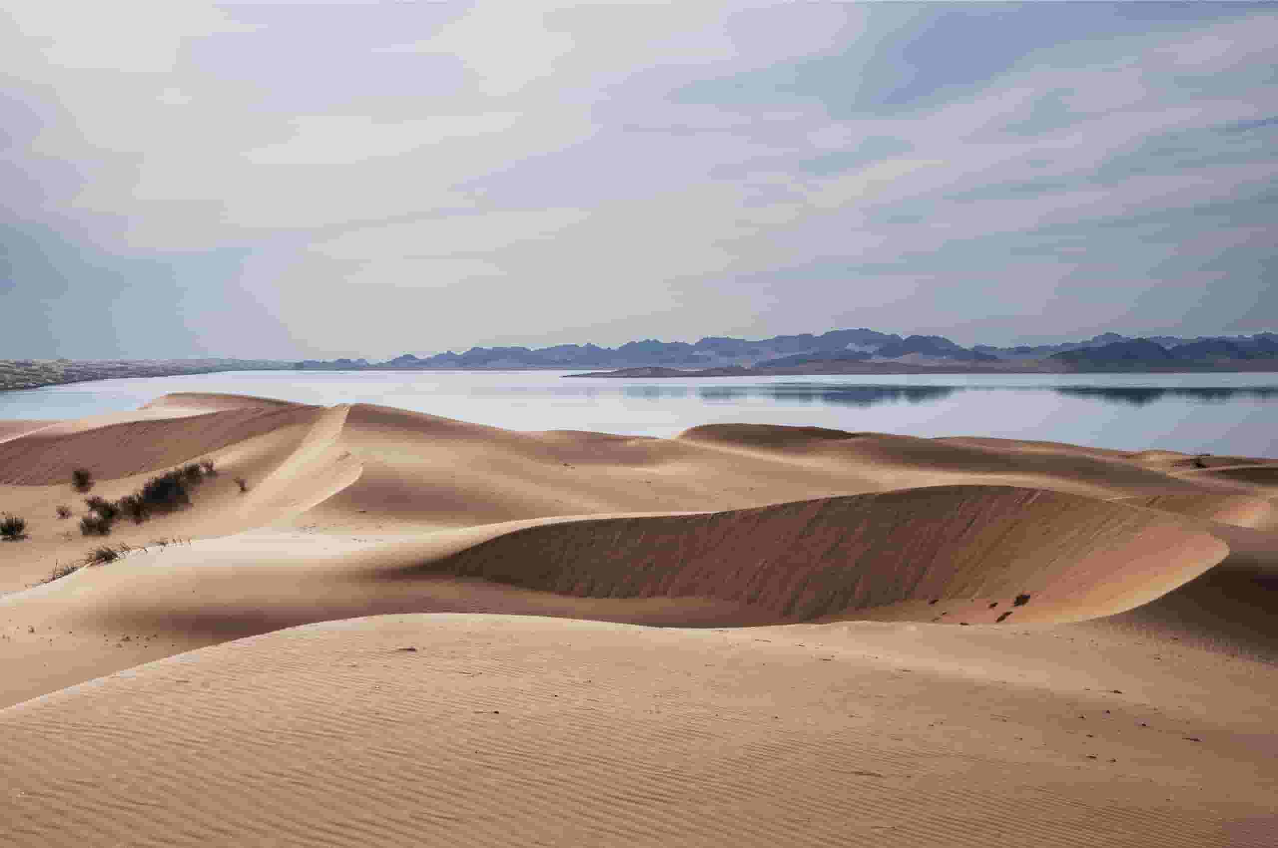 Trova voli economici to Bayannur