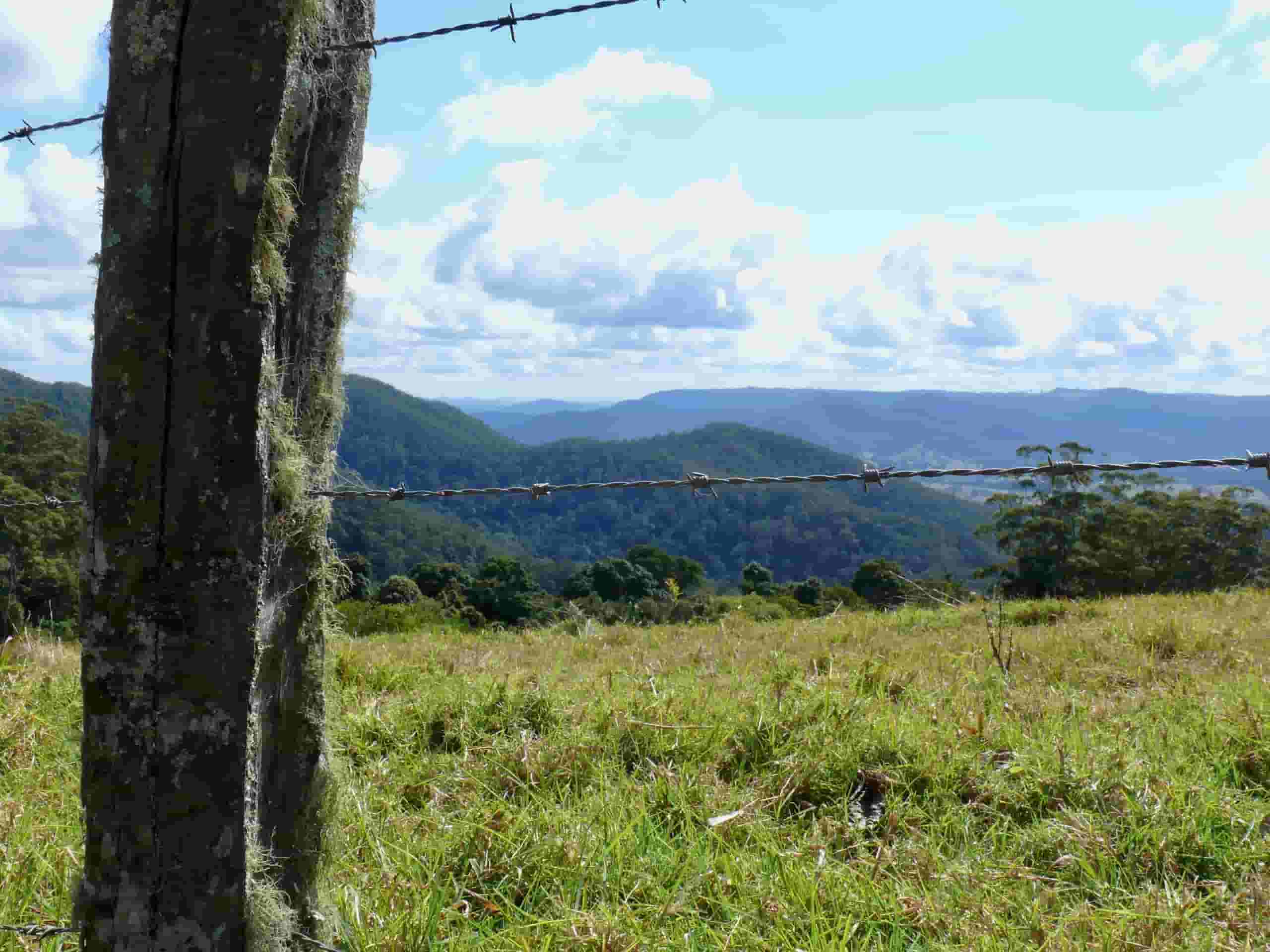 Trova voli economici per Blackall