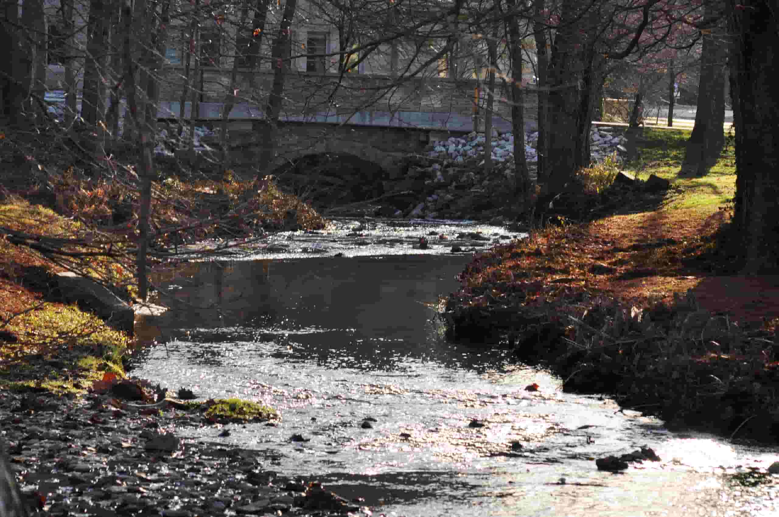 Find cheap flights to Bloomington from $195