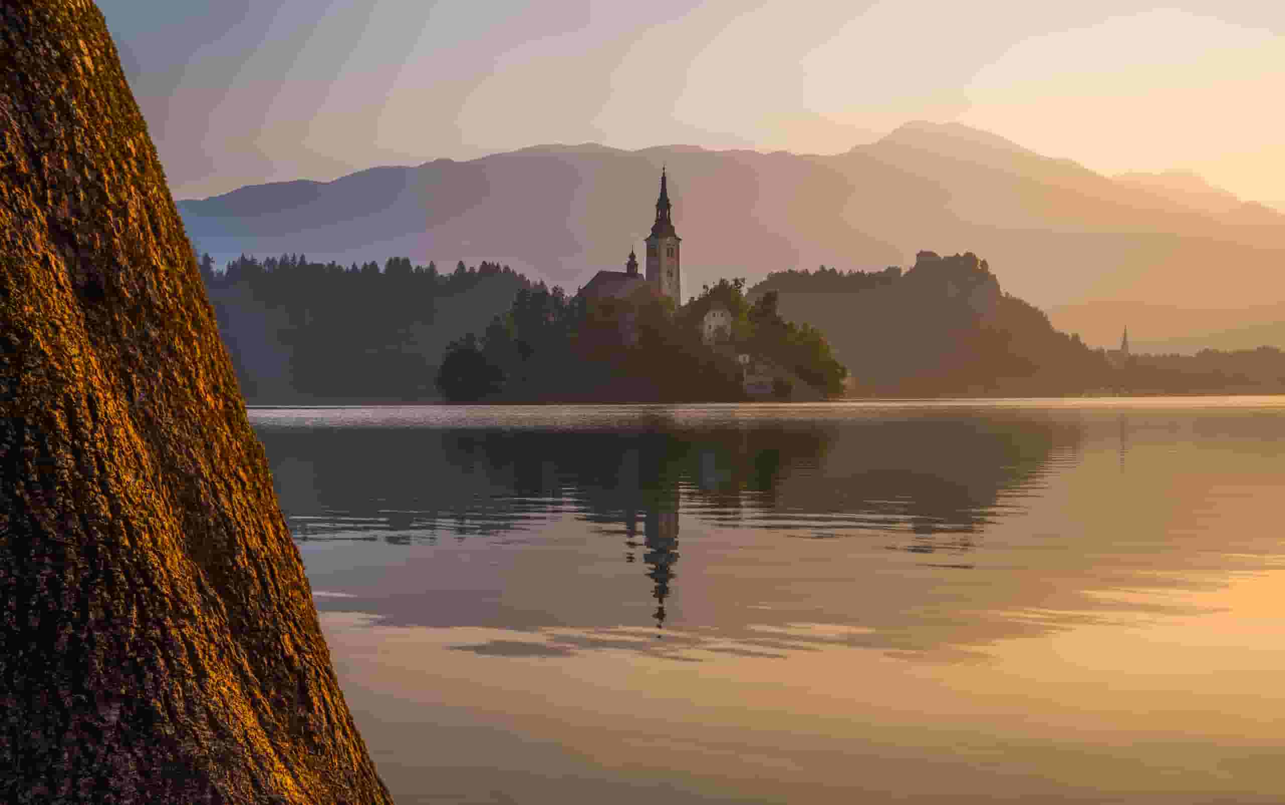 Trova voli economici to Bole