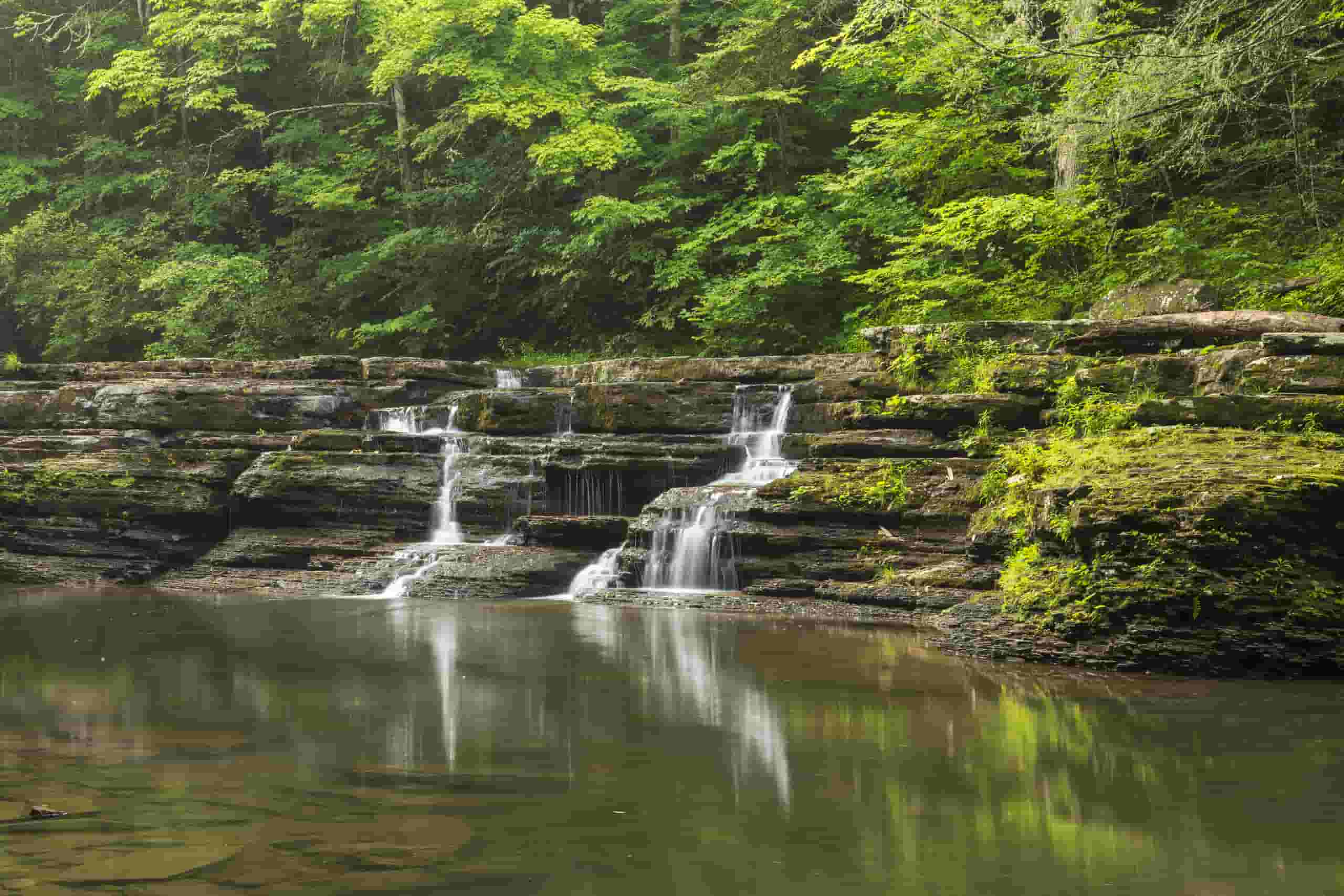Trouvez des vols à prix mini to Campbell River