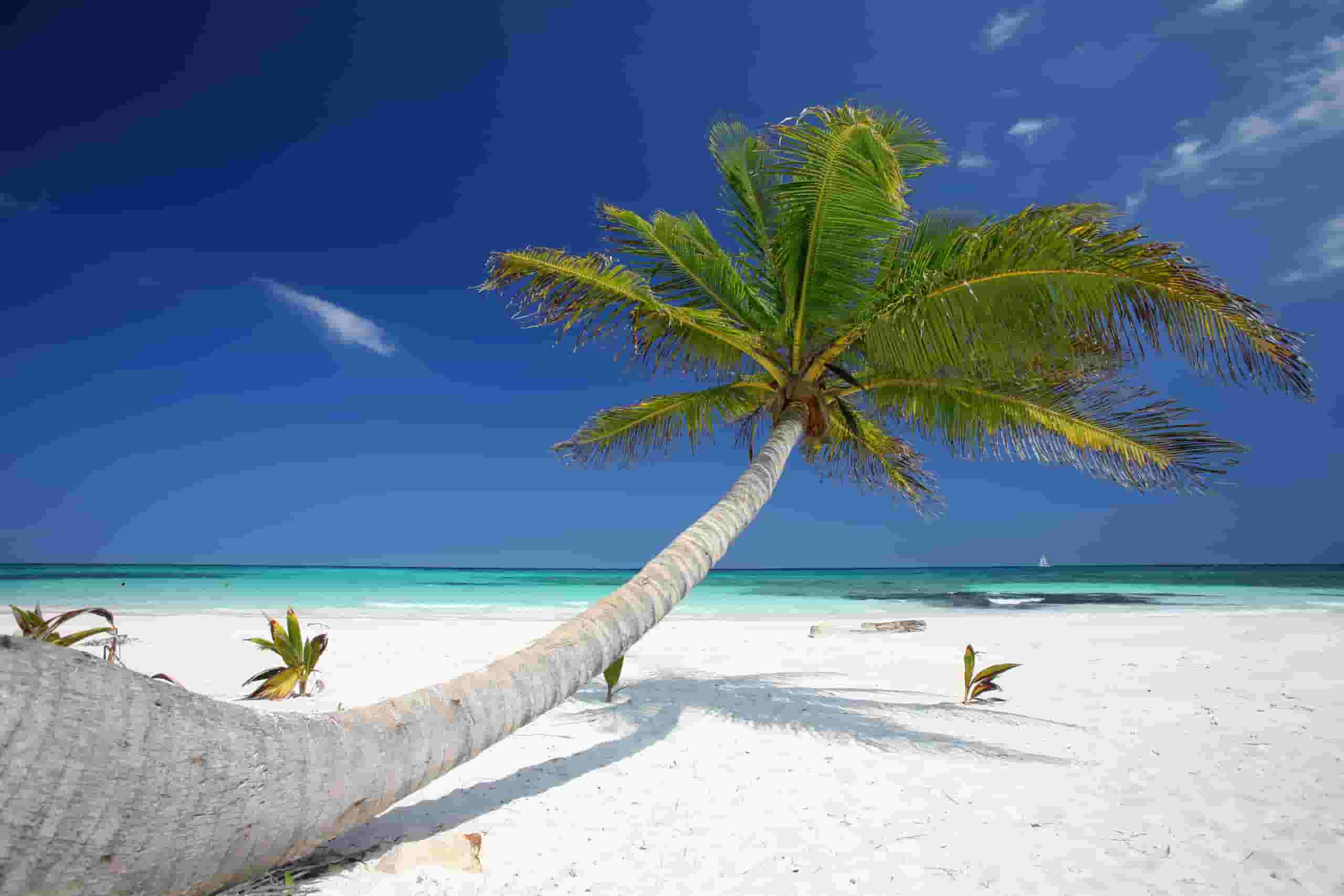 Find cheap flights to Cancún from $157