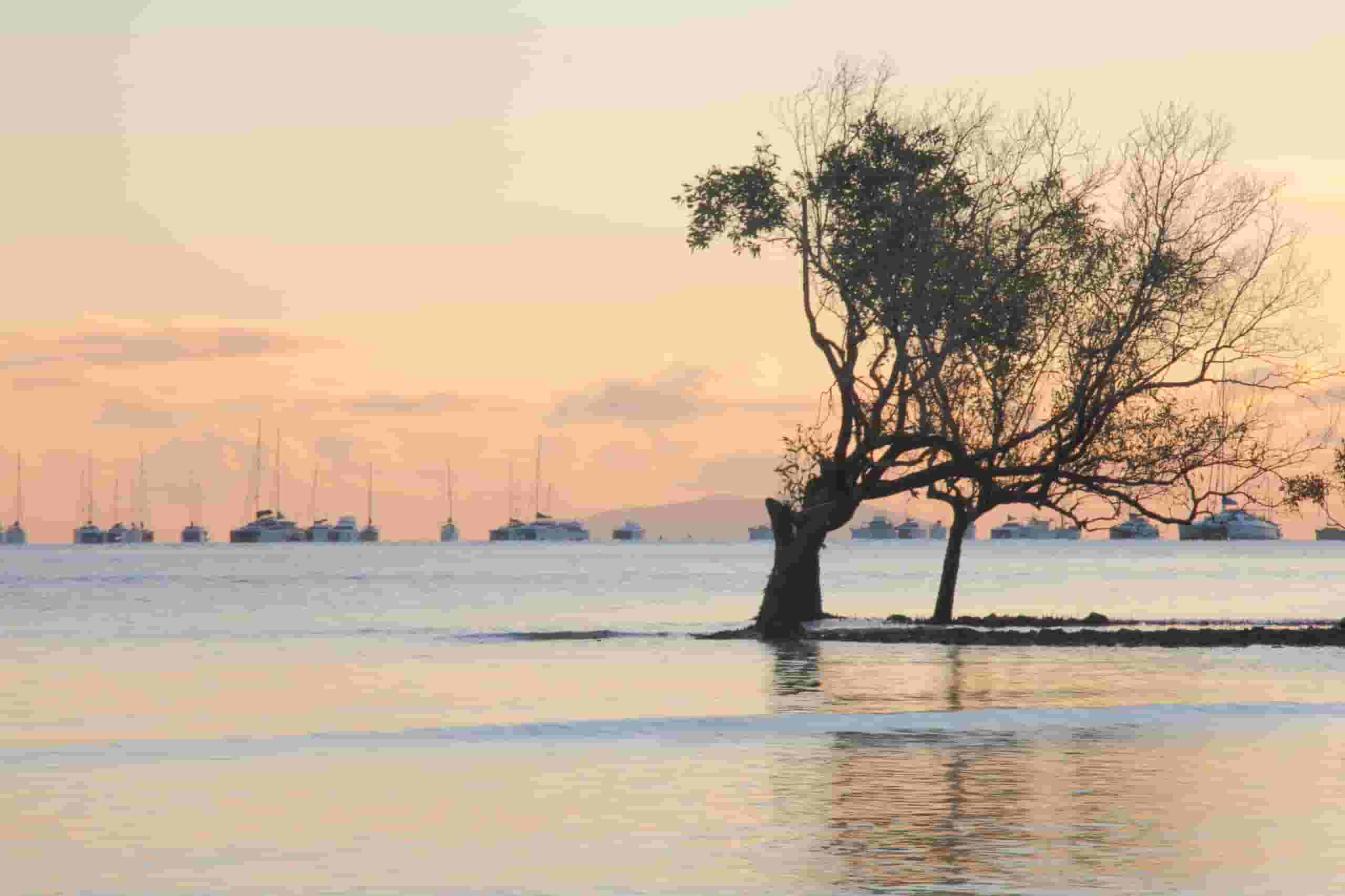 Trova voli economici a Catarman, Samar settentrionale