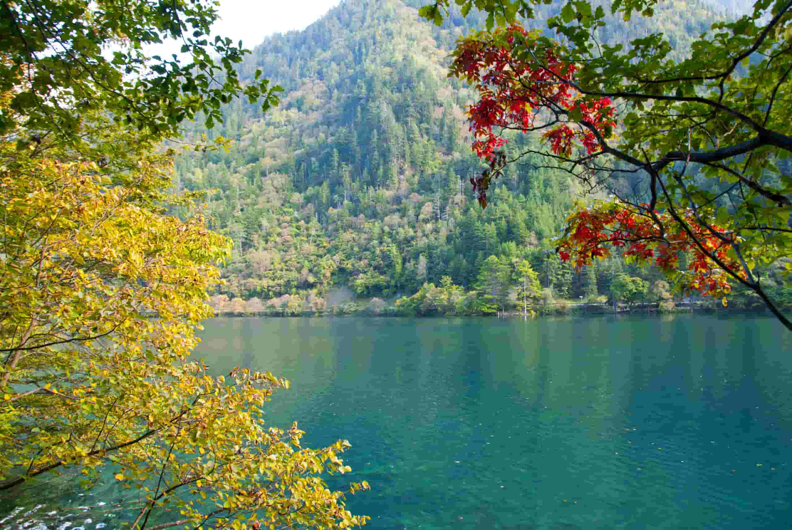 Wyszukaj tanie loty do Chengdu od 2,031 zł