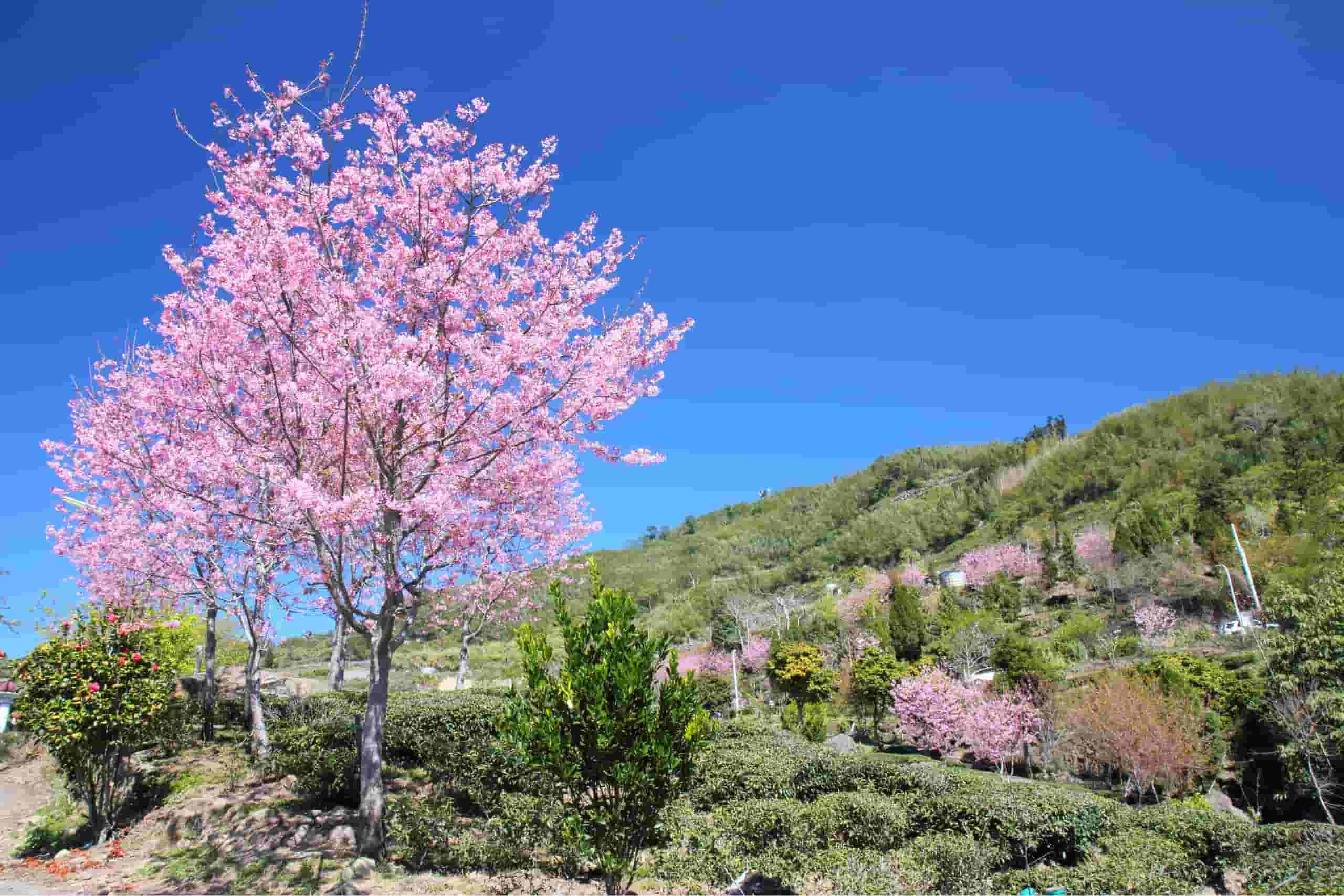 Pronađite jeftine letove do grada: Chiayi