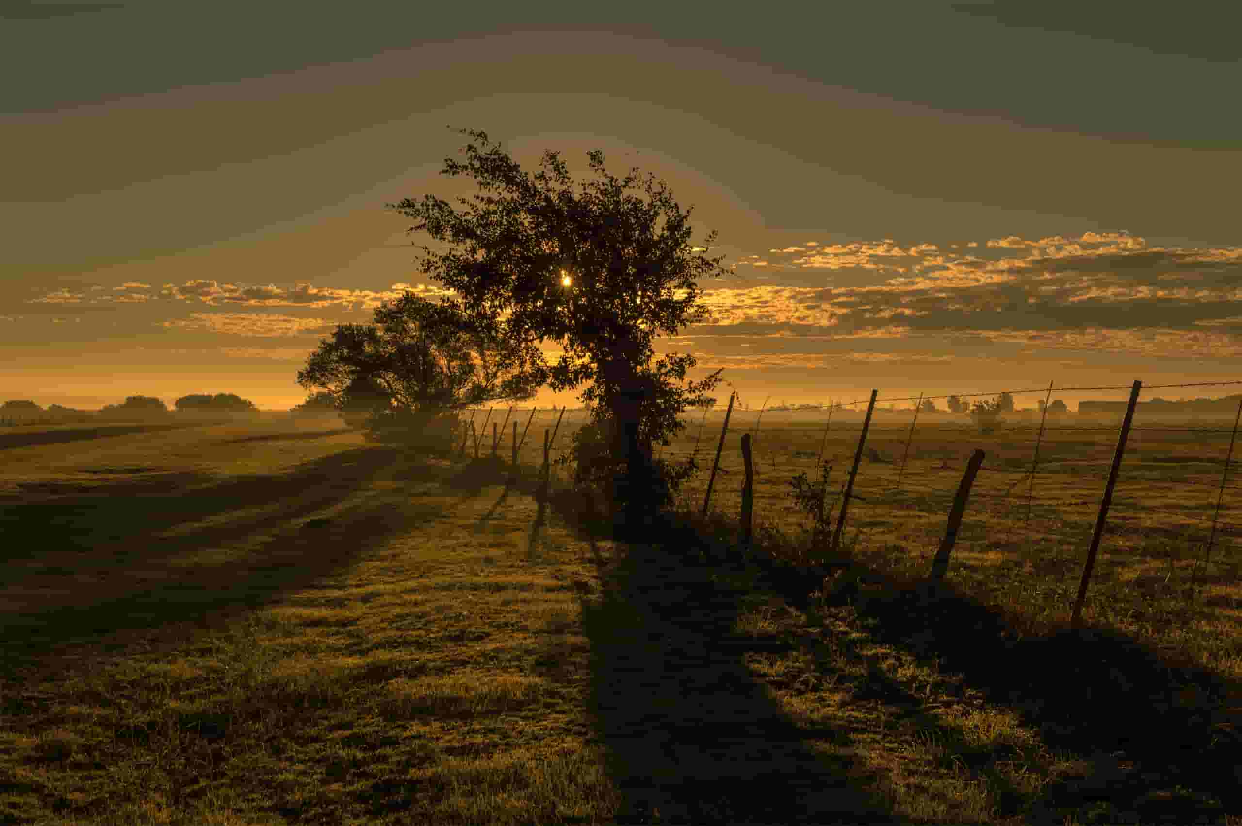 Wyszukaj tanie loty do Clovis od 585 zł