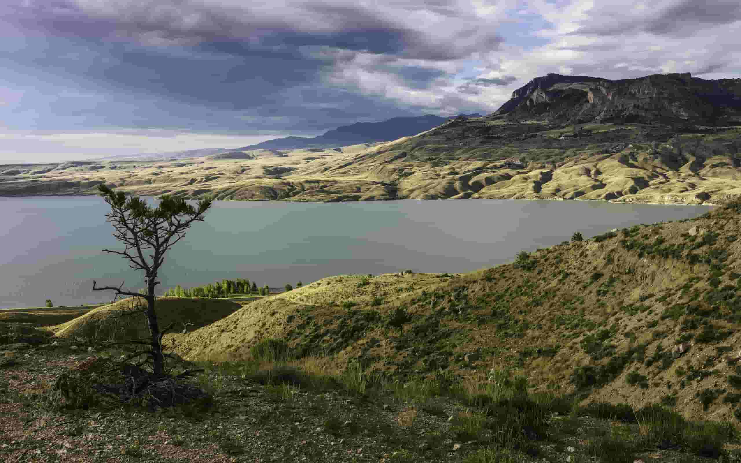 Find cheap flights to Cody