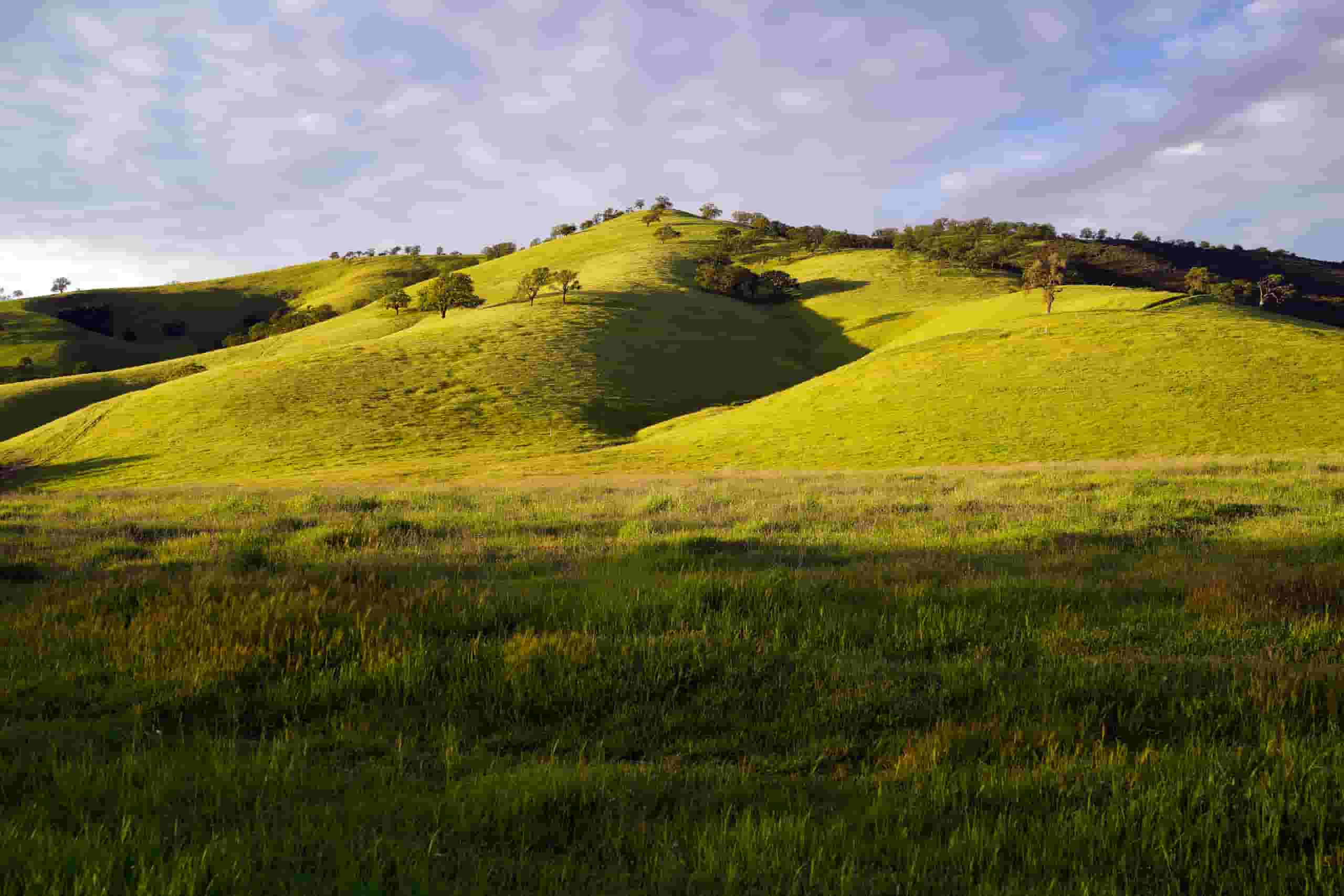 Find cheap flights to Concord from CA$130