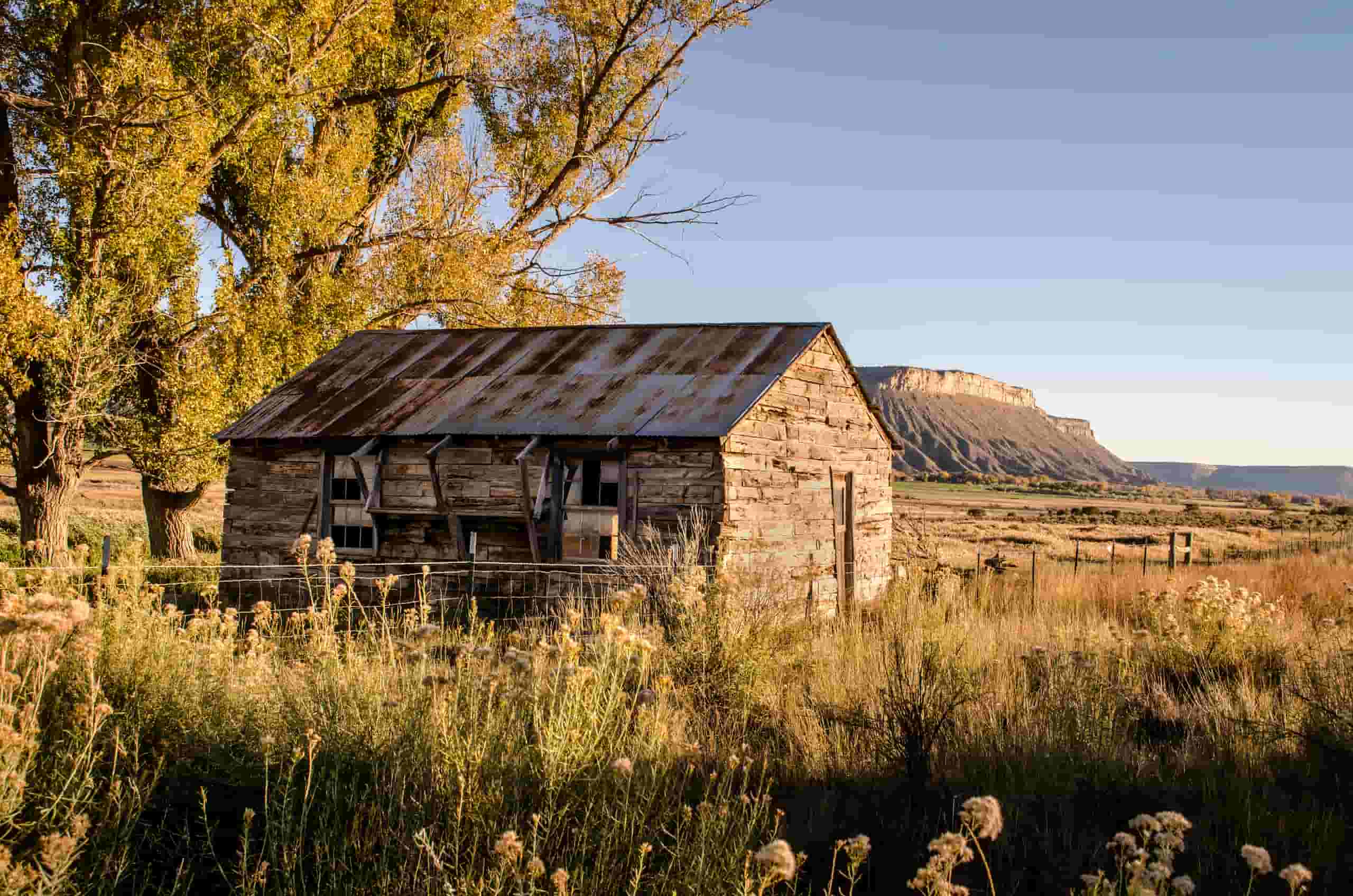 Find cheap flights to Cortez from CA$182