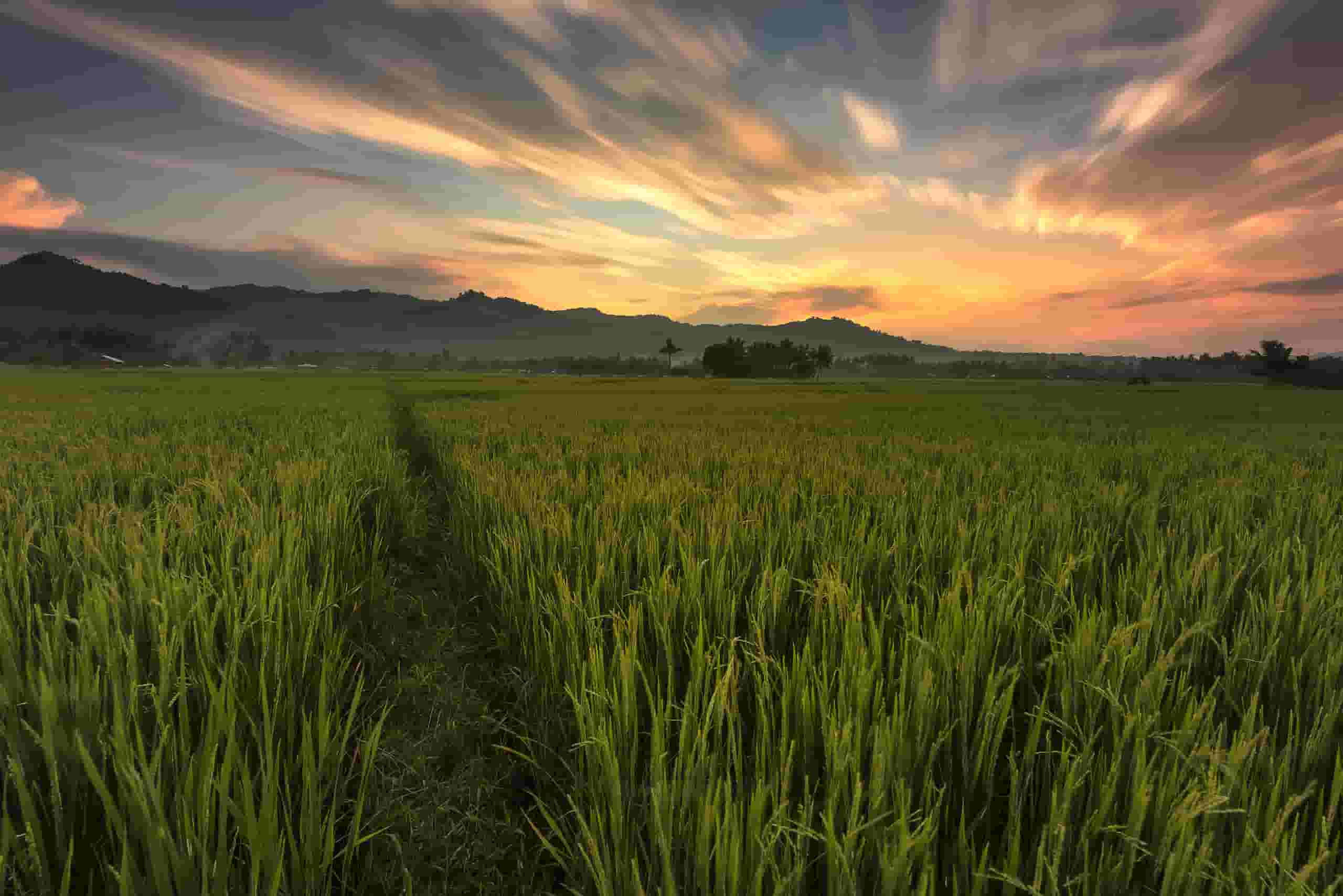 Find billige flybilletter to Cotabato City