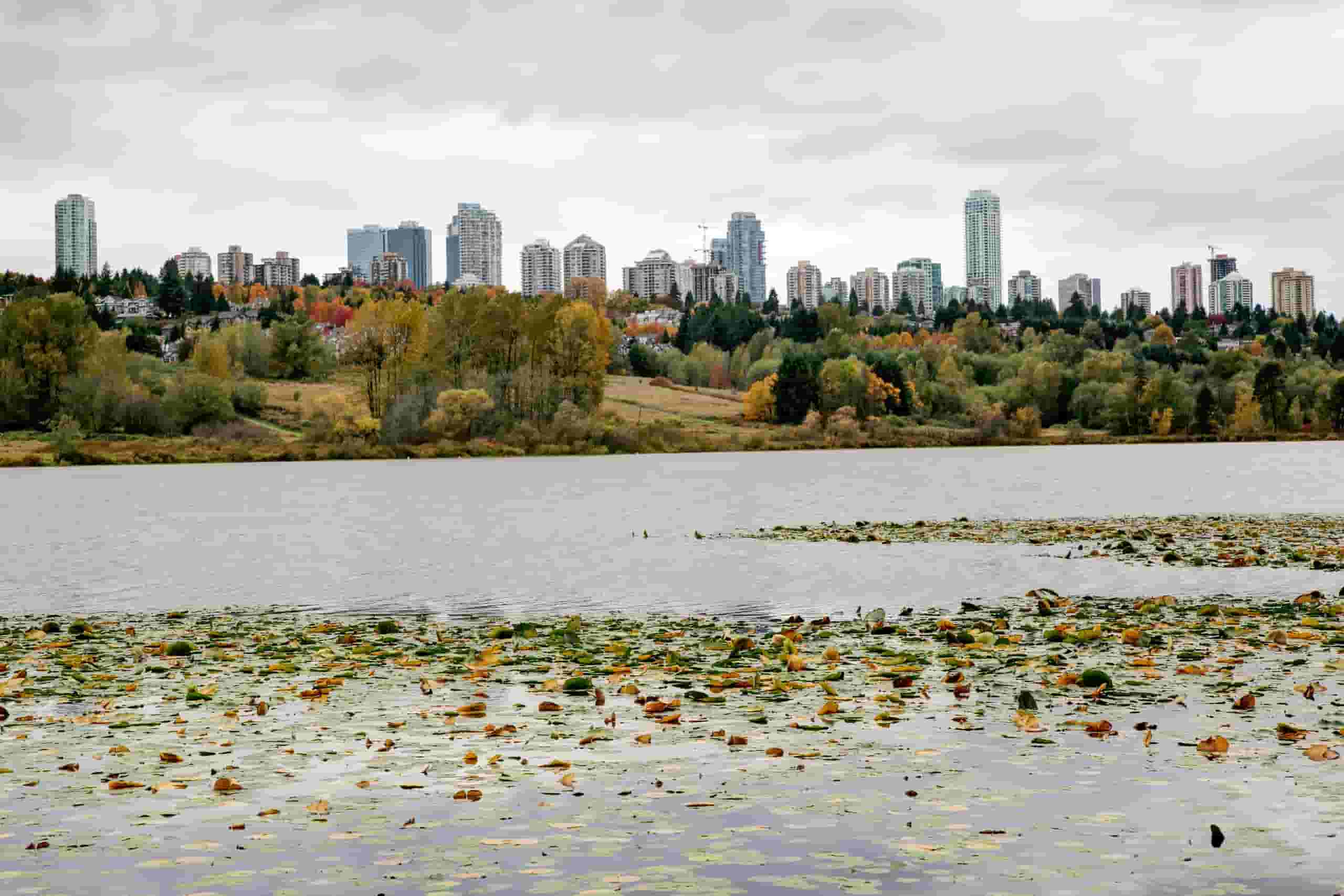 Find cheap flights to Deer Lake