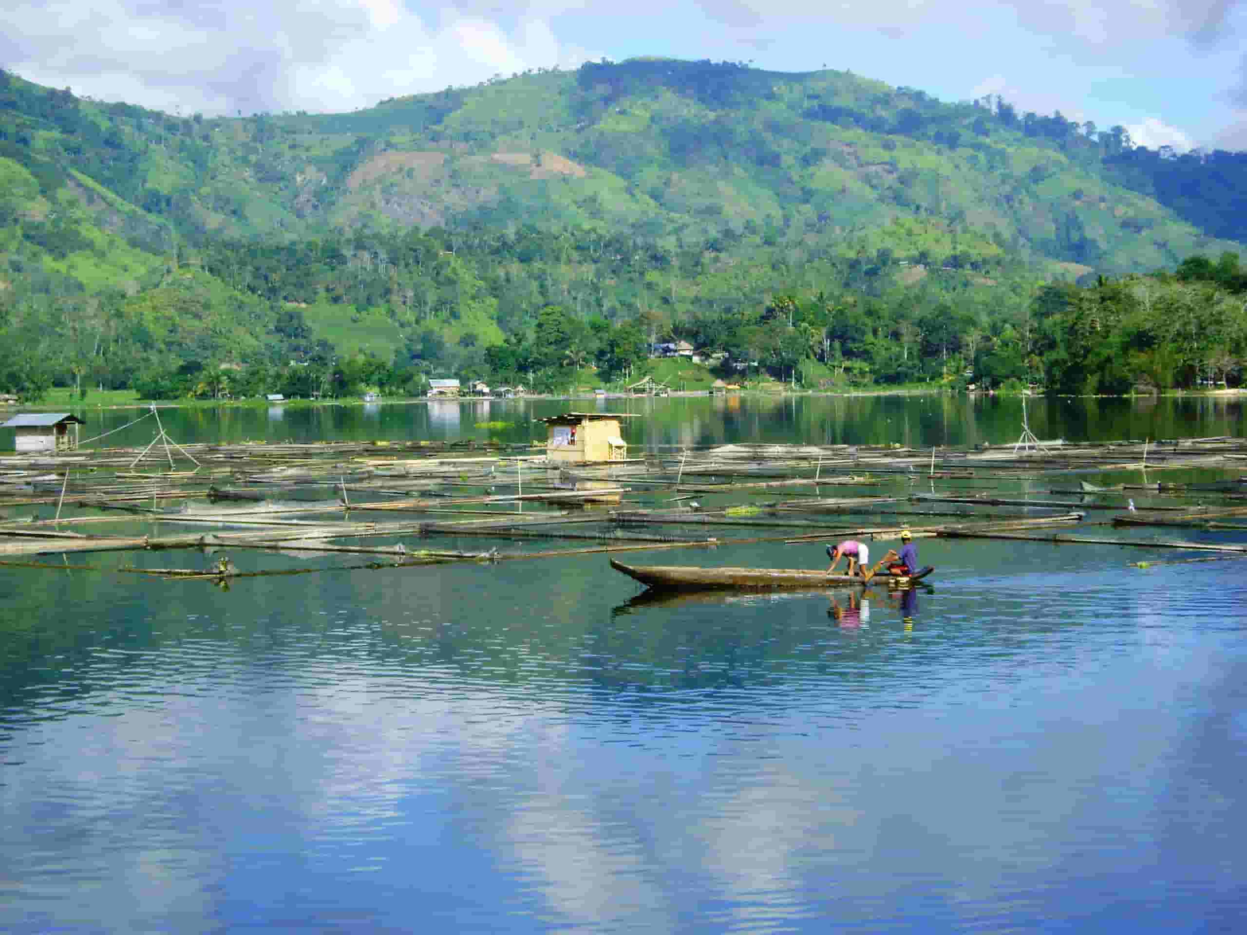 Find cheap flights to Del Carmen