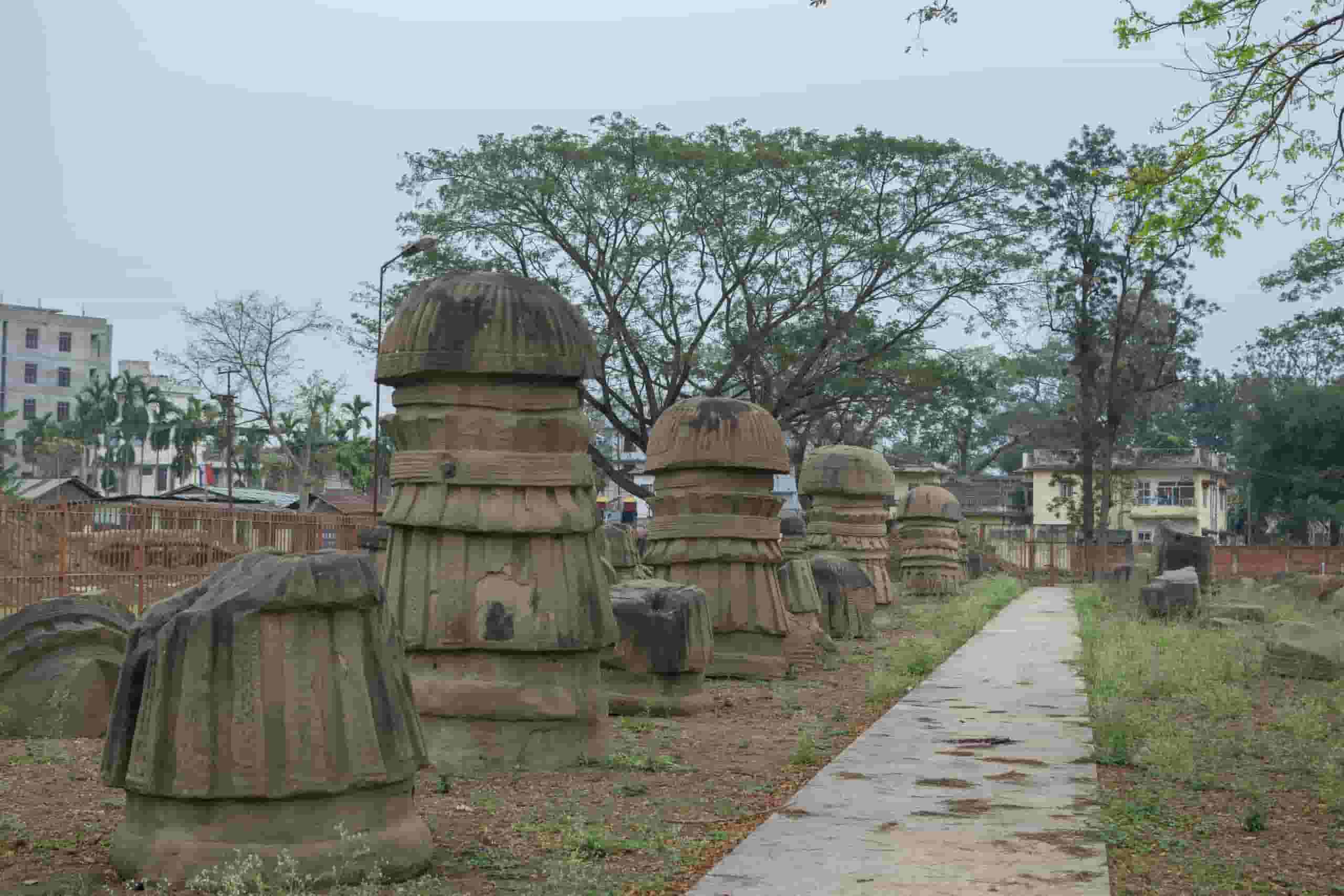 Wyszukaj tanie loty to Dimapur