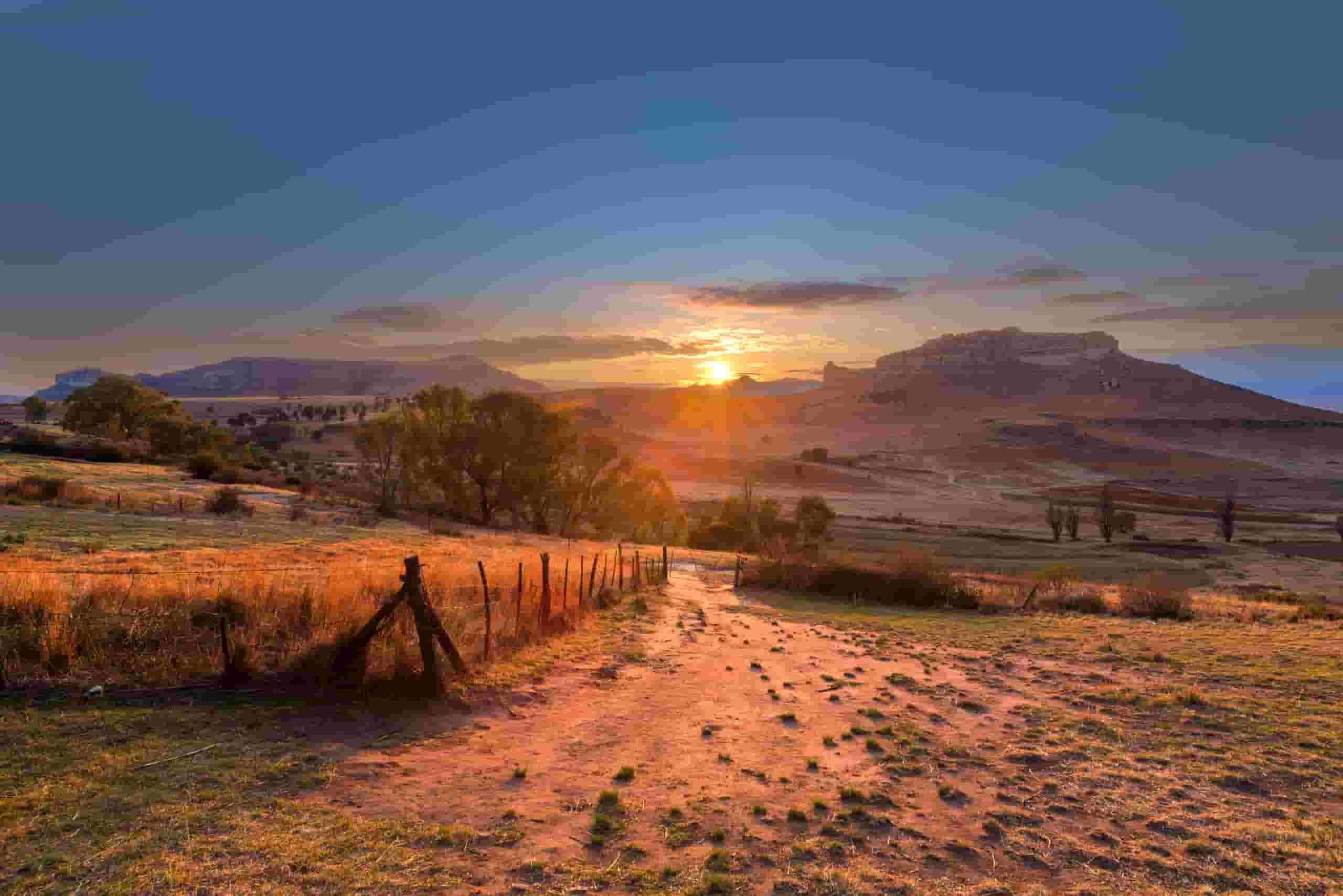 Find cheap flights to Dingleton