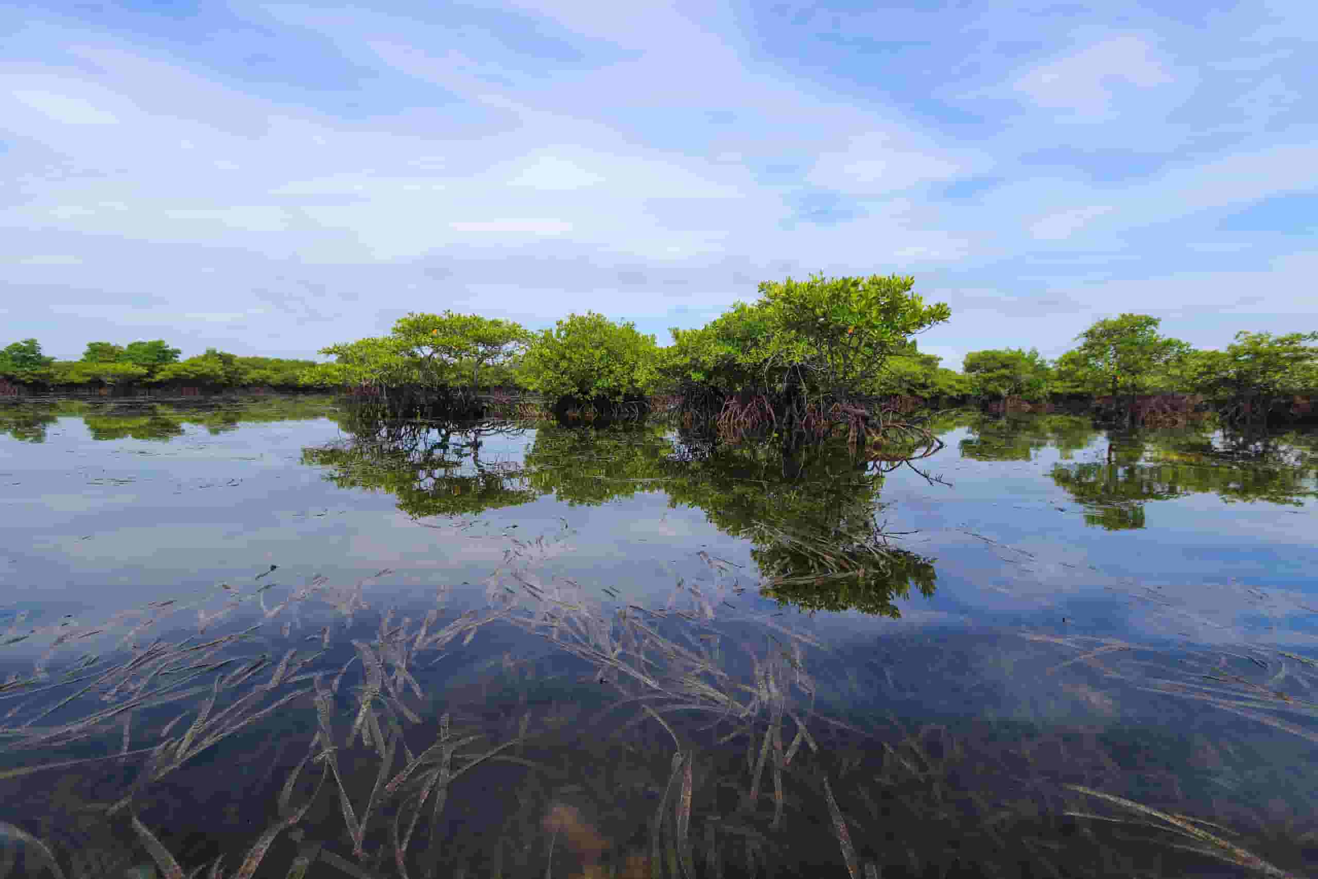 Find cheap flights to Dipolog