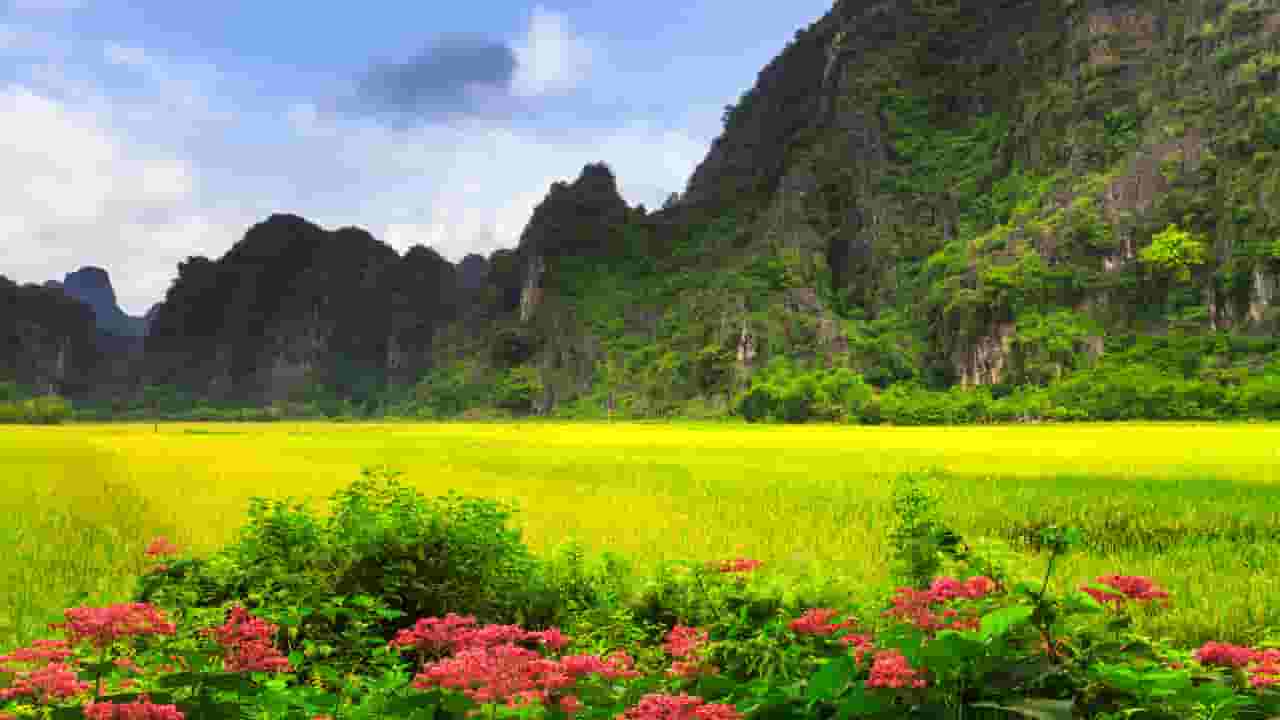 Etsi halpoja lentoja Đồng Hớihin