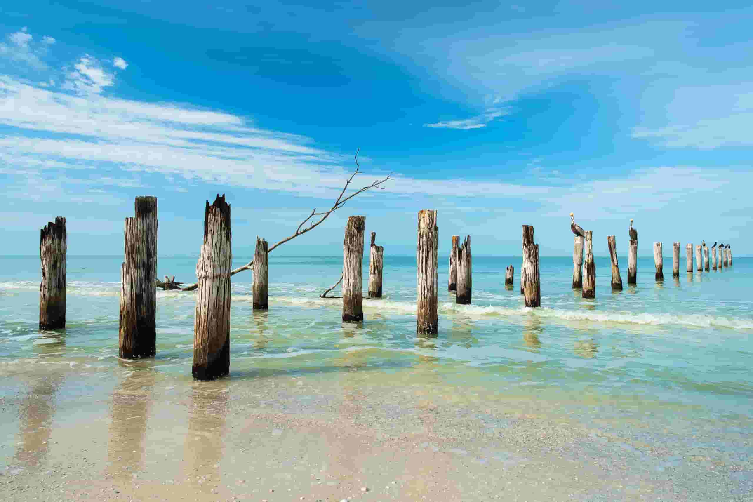 Wyszukaj tanie loty do Fort Myers od 387 zł