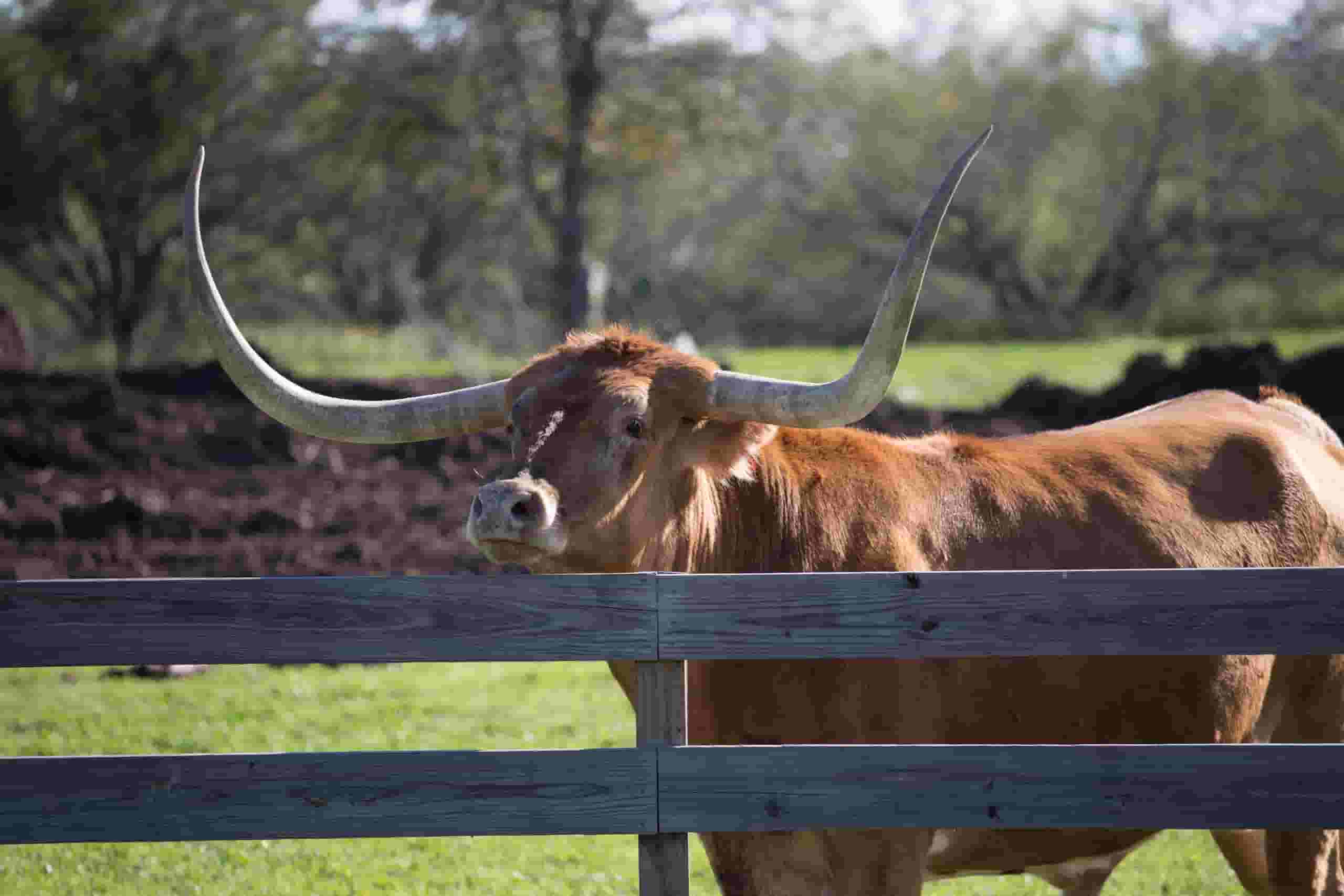 Находите дешевые авиабилеты to Fort Smith