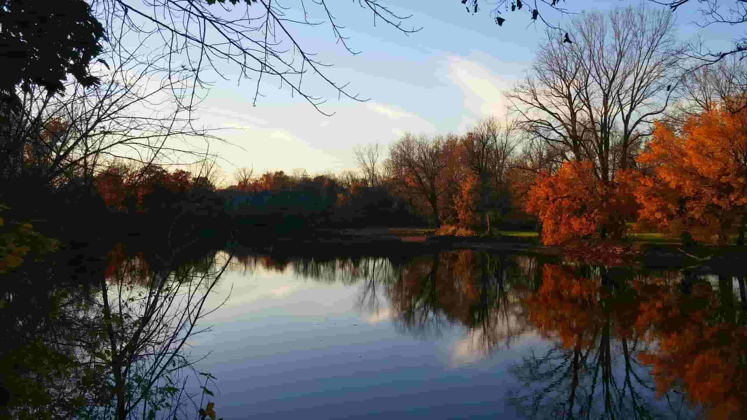 Trova voli economici a Fort Wayne a partire da 168 €