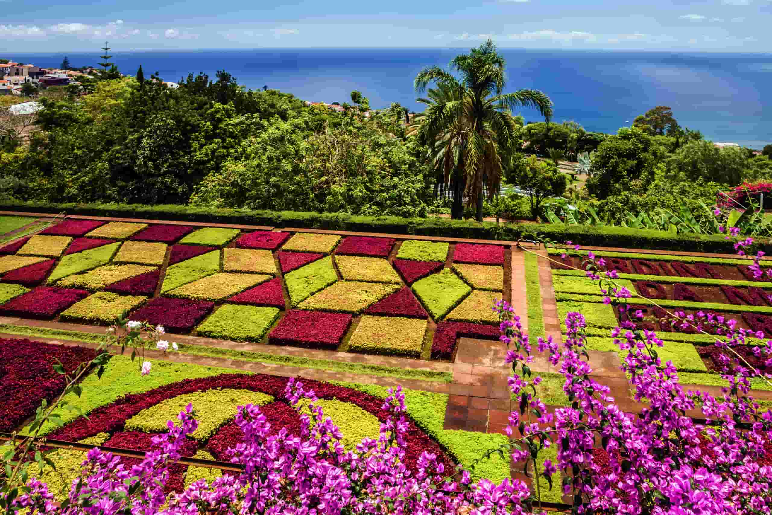 Find cheap flights to Funchal from CA$472