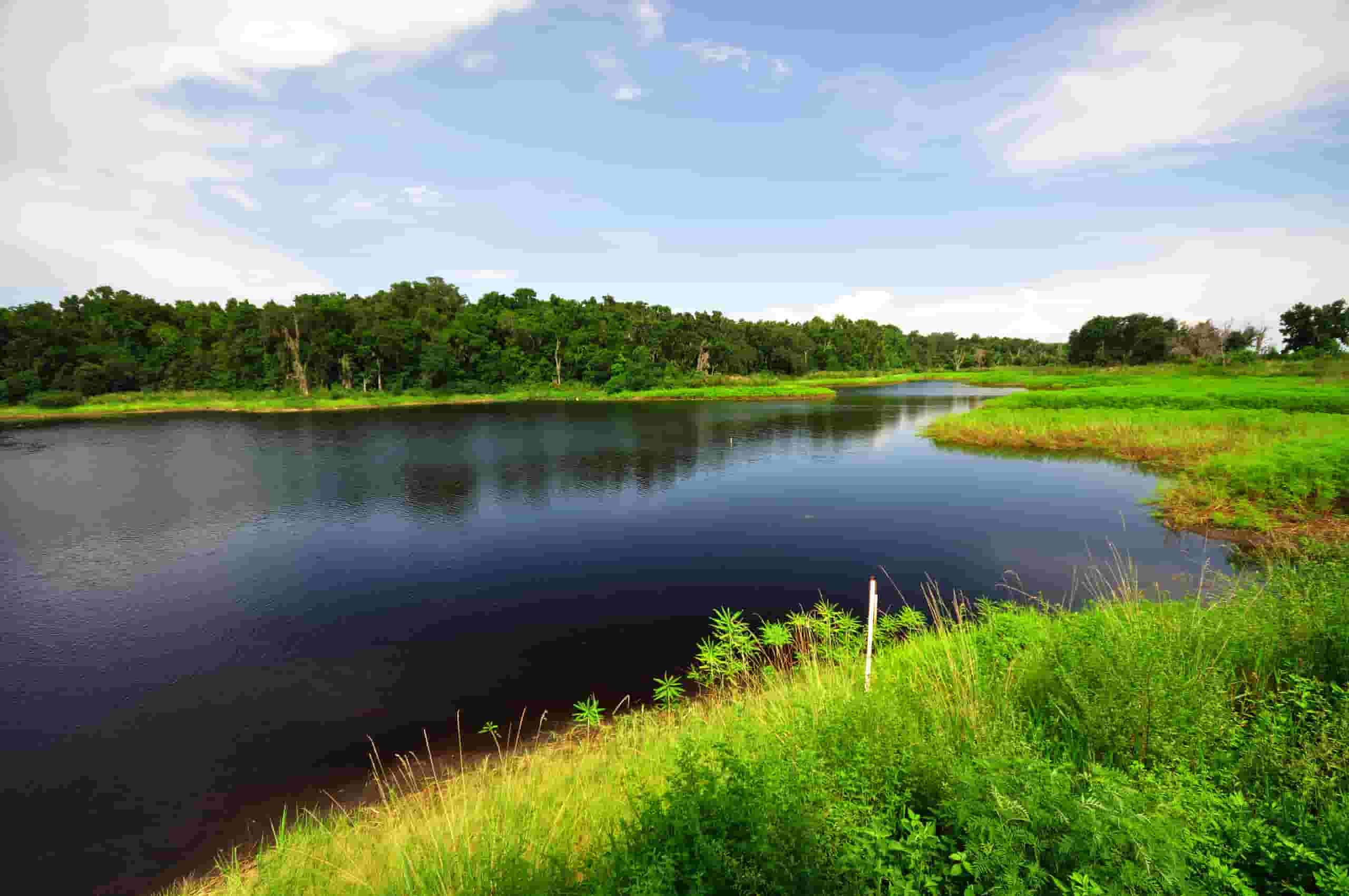 Find cheap flights to Gainesville