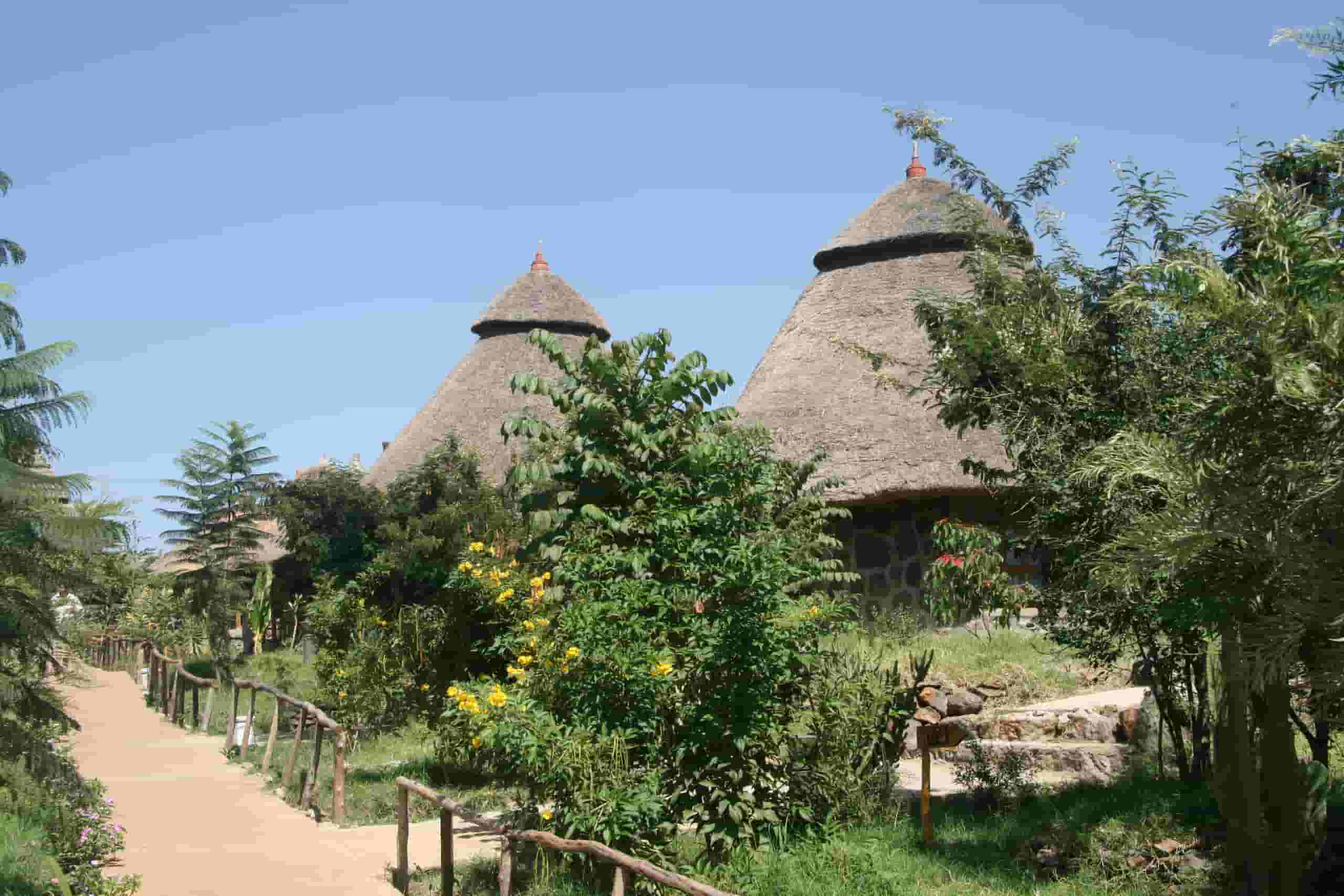 Find cheap flights To Gambela