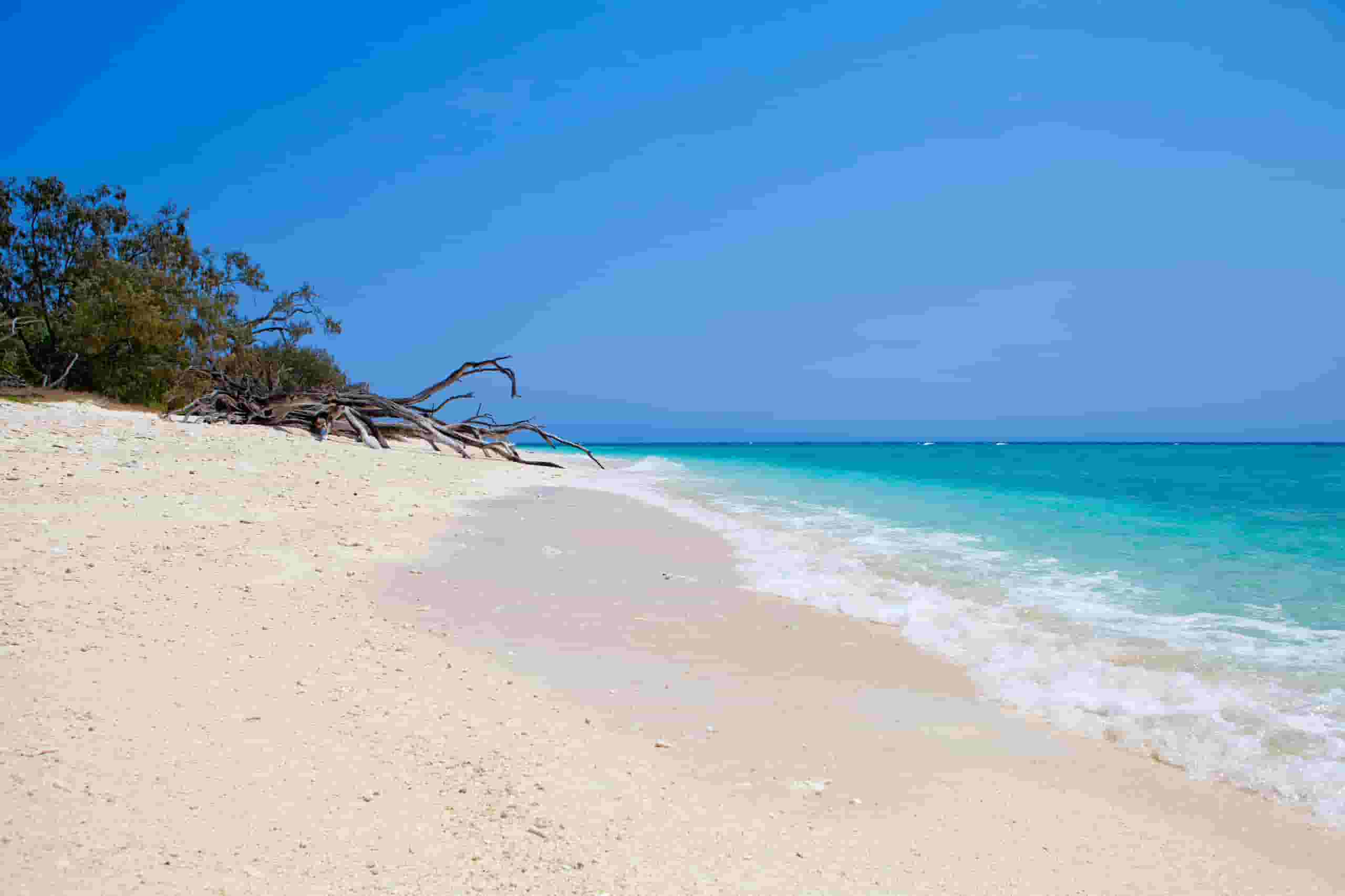 Find billige flybilletter to Gladstone