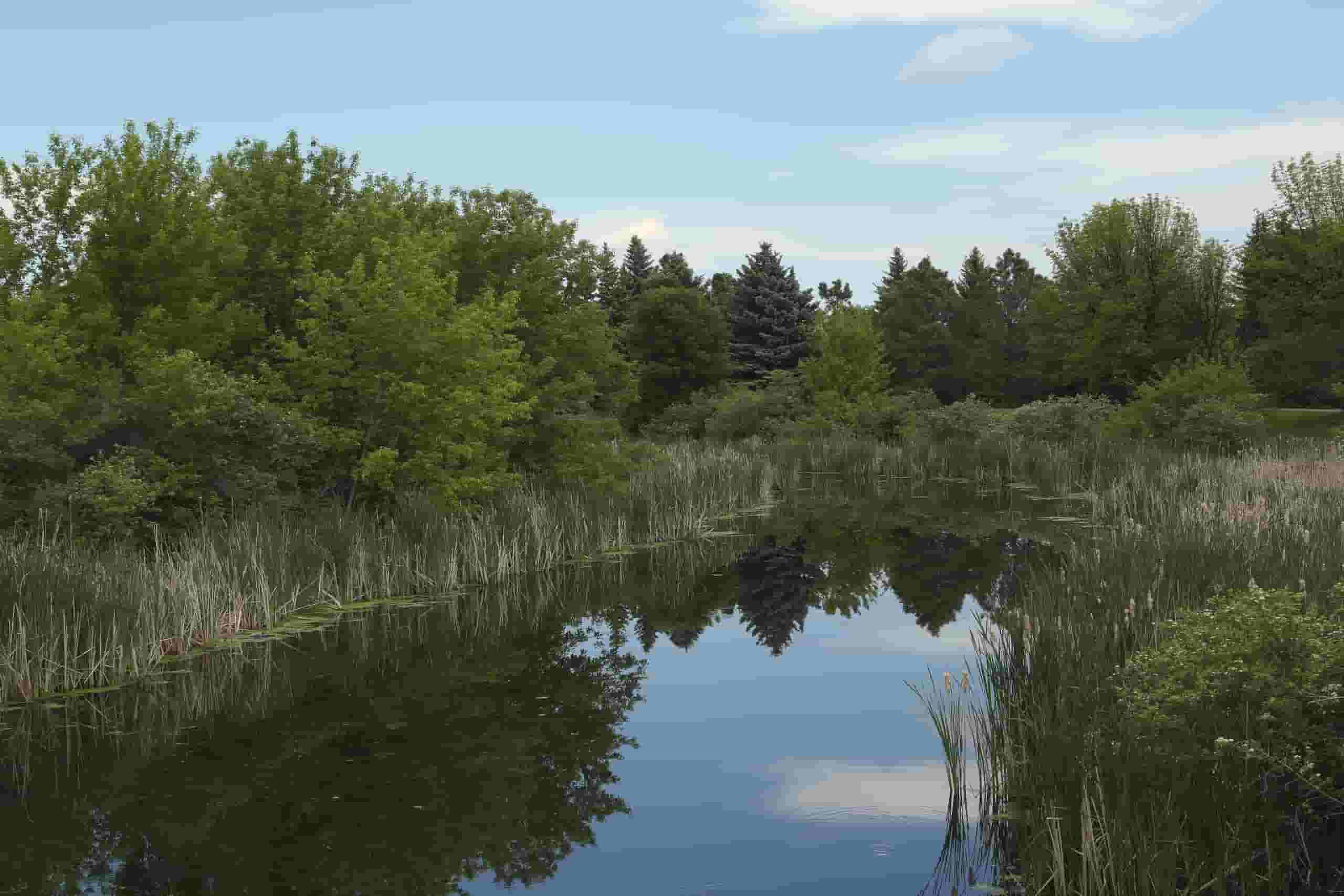 Trova voli economici a Grand Forks a partire da 144 €