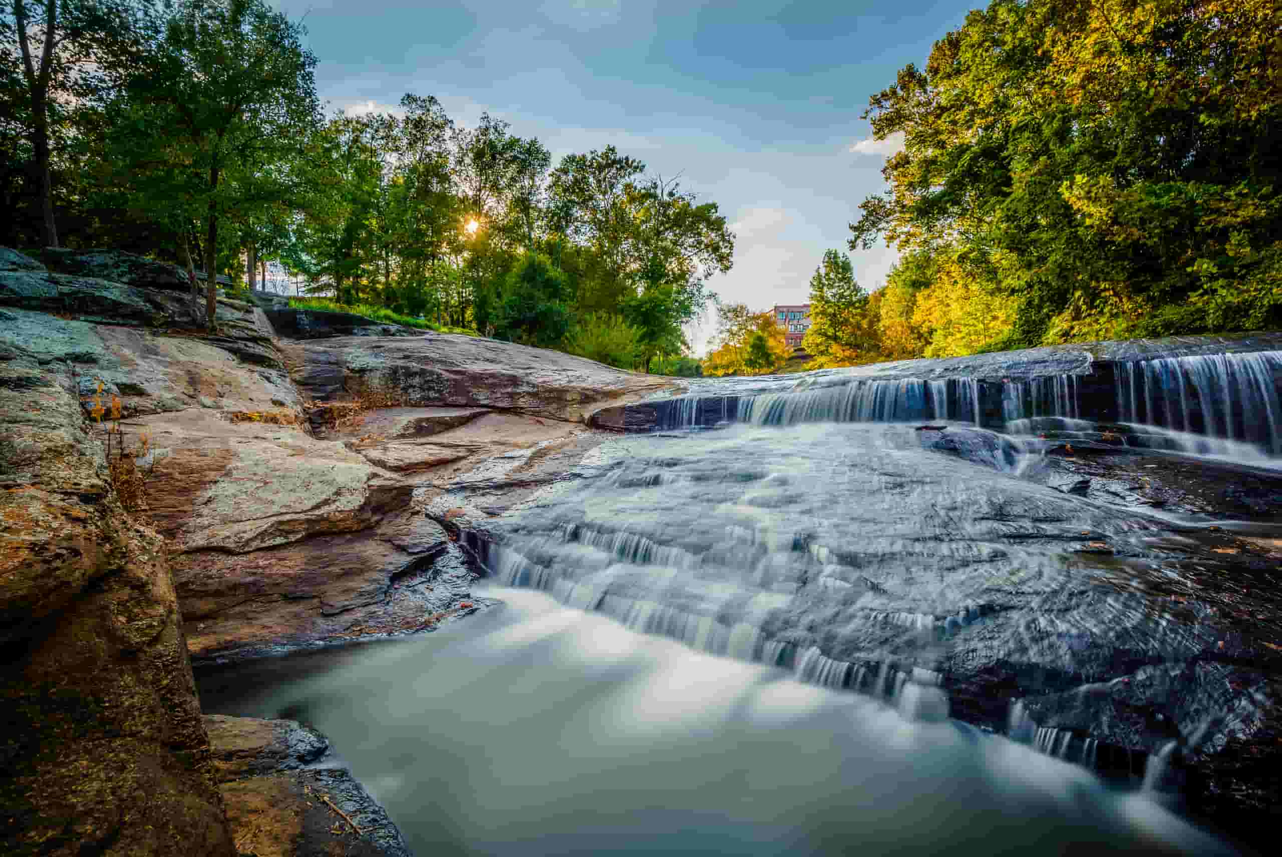 Find cheap flights to Greenville