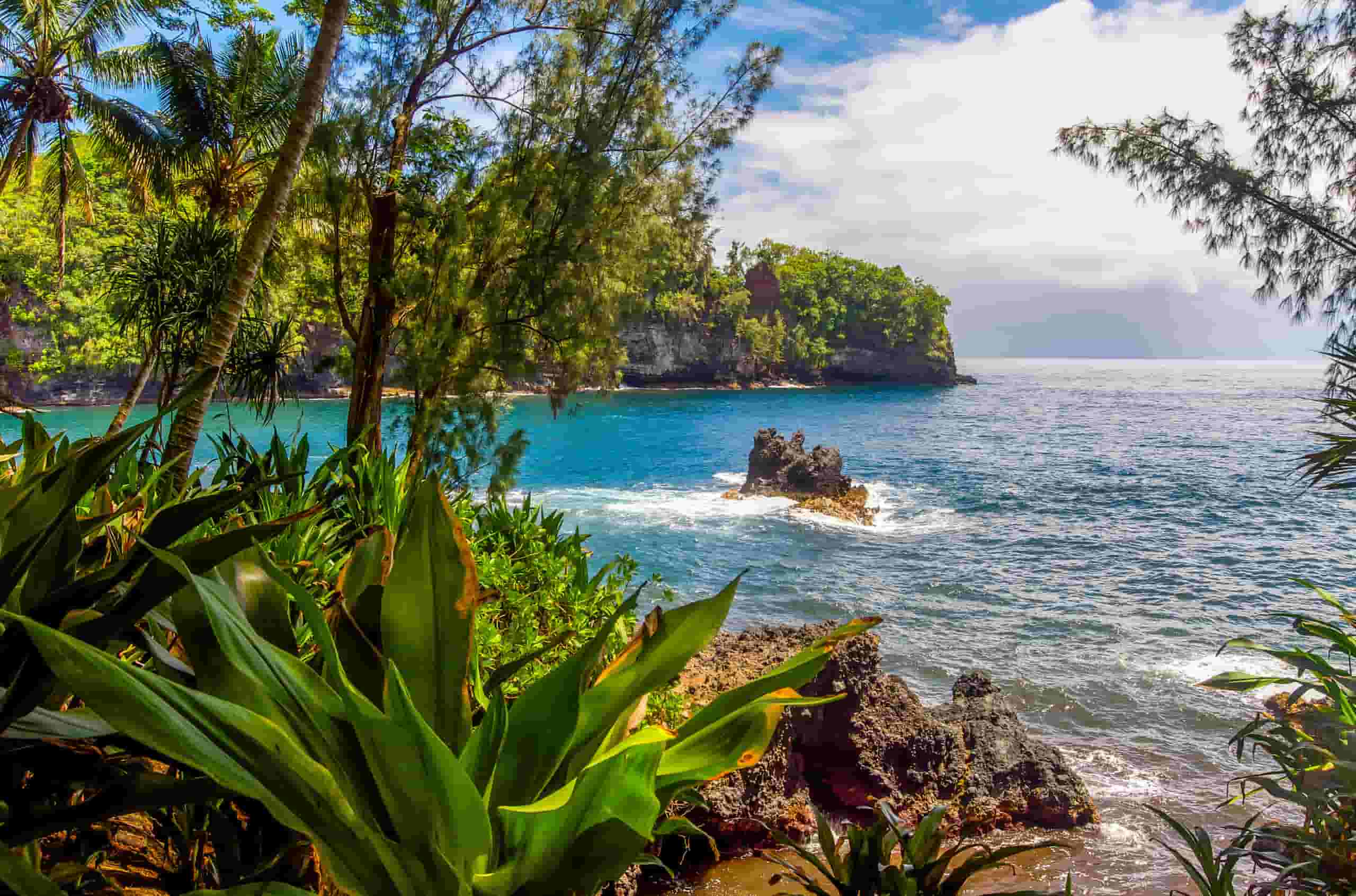 Find cheap flights to Hilo