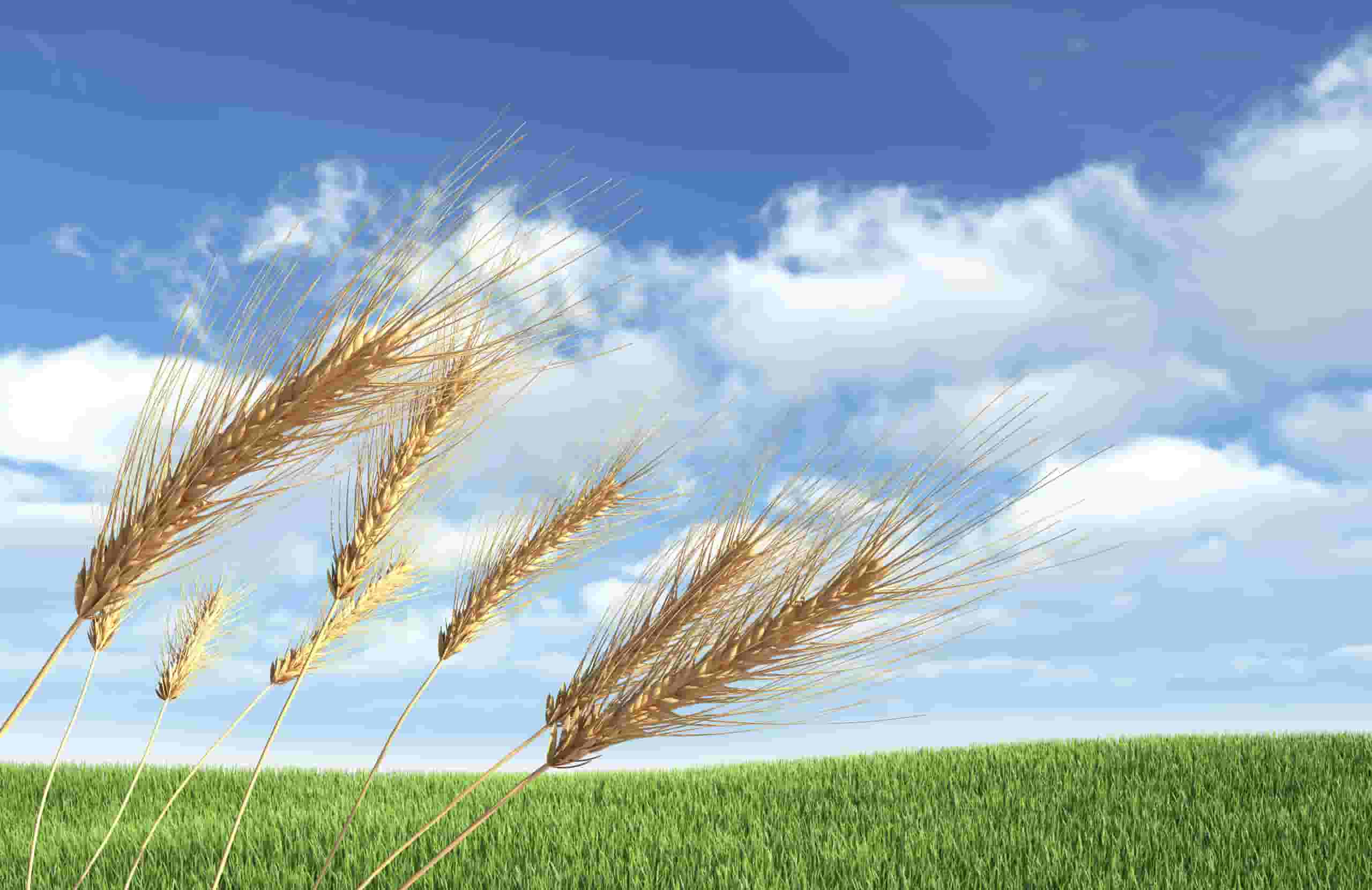 Wyszukaj tanie loty to Hoskins