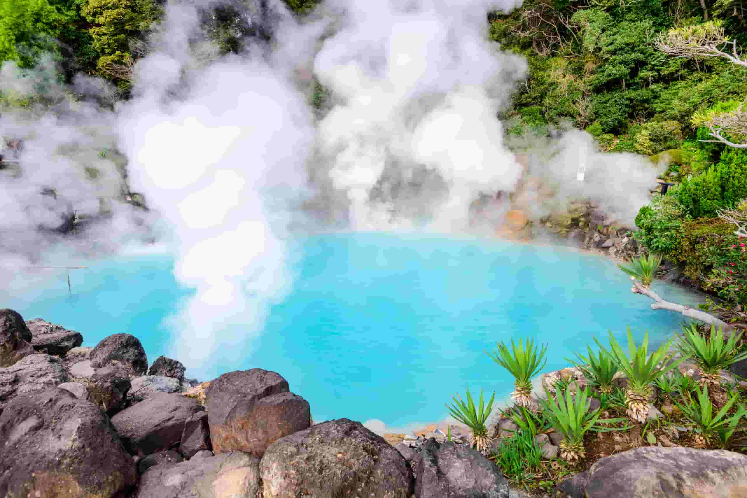 Find cheap flights to Hot Springs from CA$205