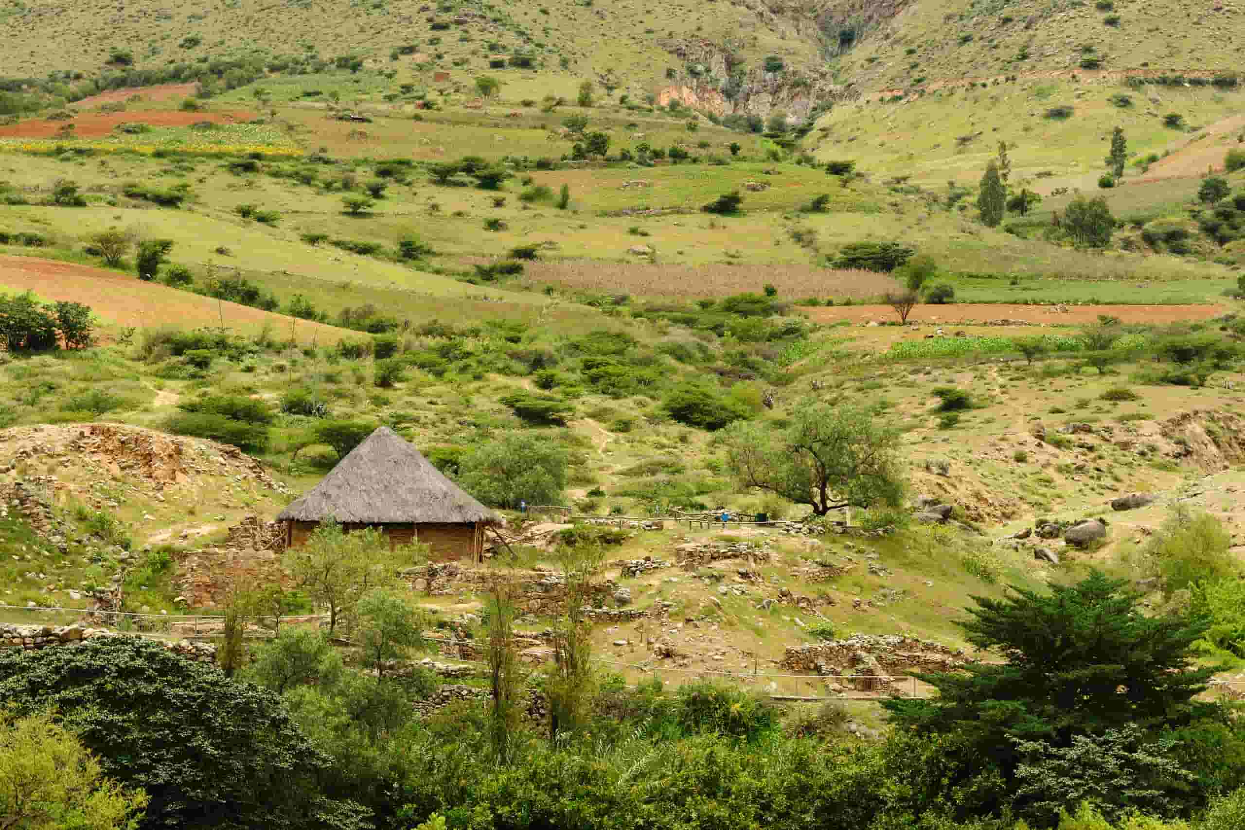 Keressen olcsó repülőjegyeket to Huánuco